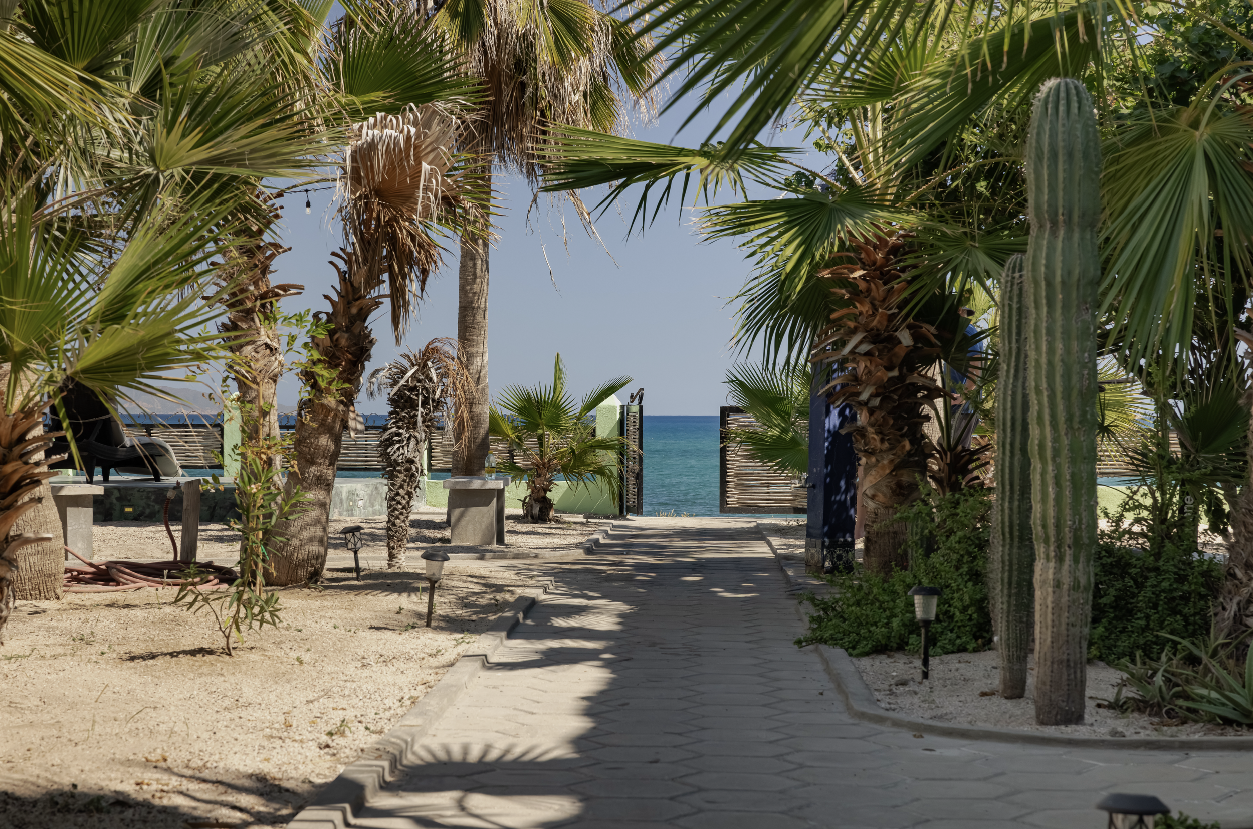 Screenshot 2026-03-03 at 3.50.38 PM.png