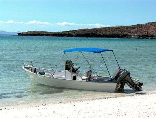 Panga2-503x379.jpg