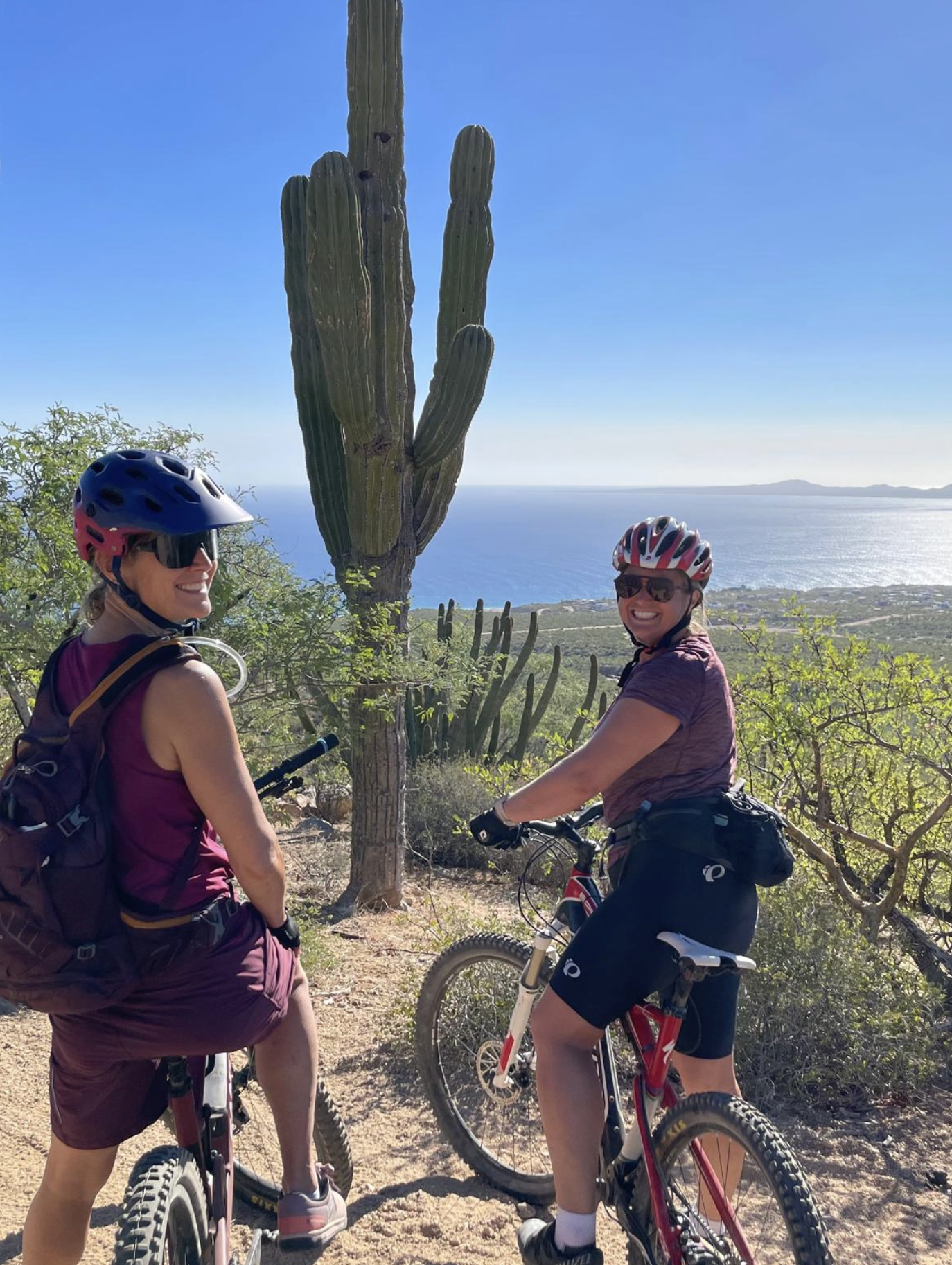 Screenshot 2026-03-03 at 4.32.10 PM.png