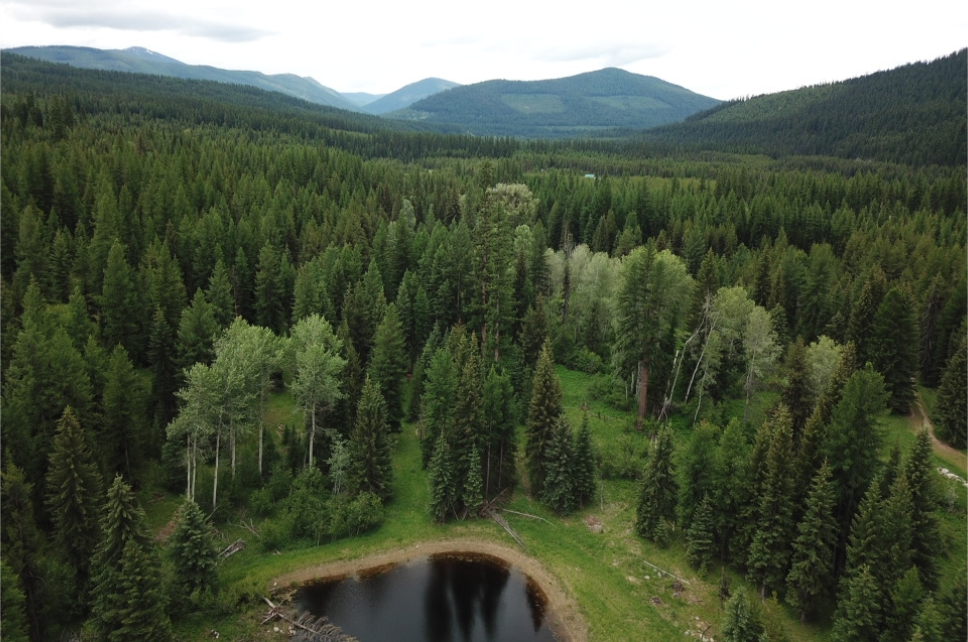 Libby Troy Realty NW Montana