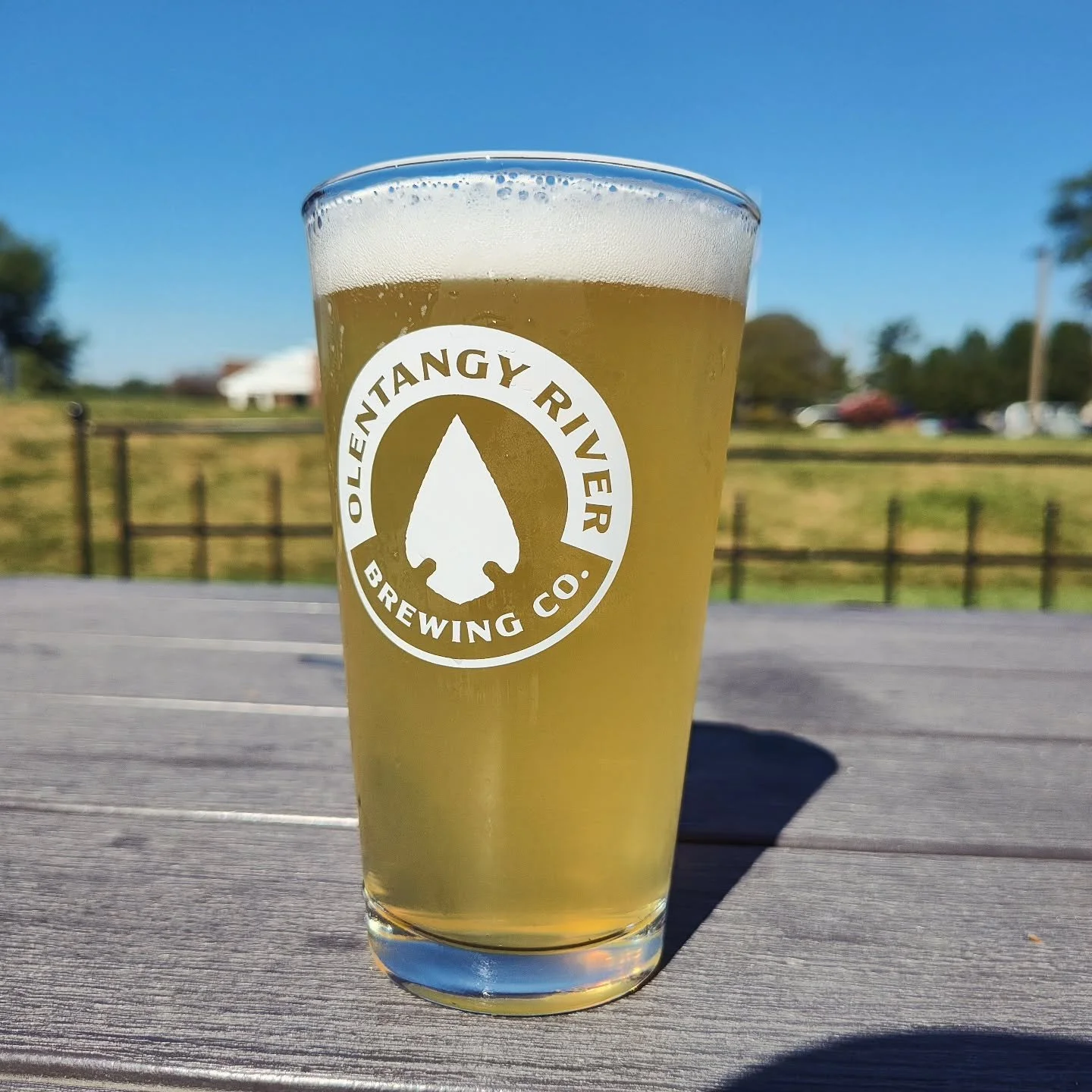 ORBC Mango Cream Ale - 4.6%

The summer may be over, but we are still feeling those warm vibes. Our mango cream ale is fruity, sweet and easy to drink. Available in the taproom now!