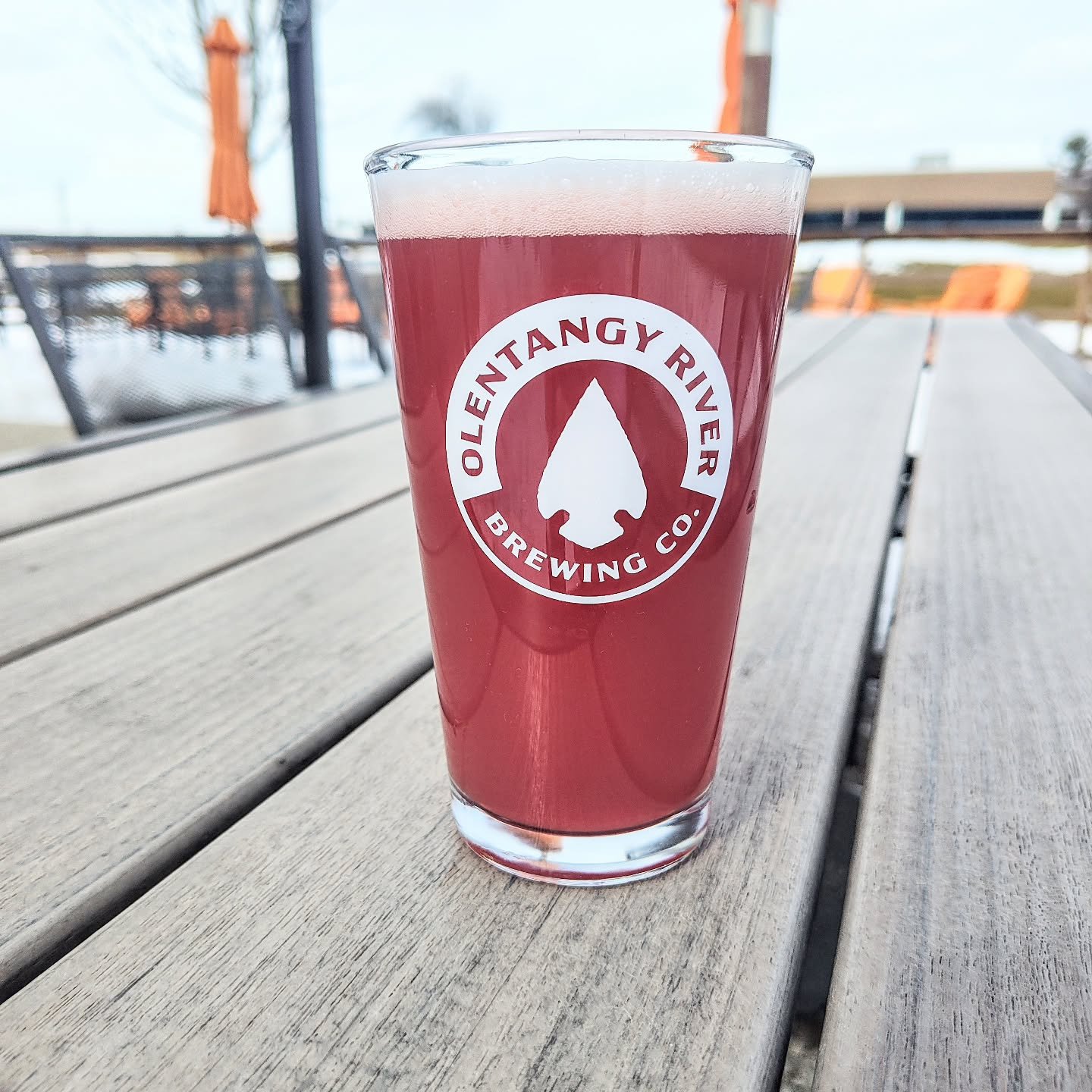 New Beer Friday!

Join us tomorrow as we release a fan favorite: Ol'n Tangy Black Currant!

Punchy, fruity, and tart, it's perfect for some 50 DEGREE WEATHER this weekend. Grab one, and stick around for our girl scout cookie pairing on Saturday!