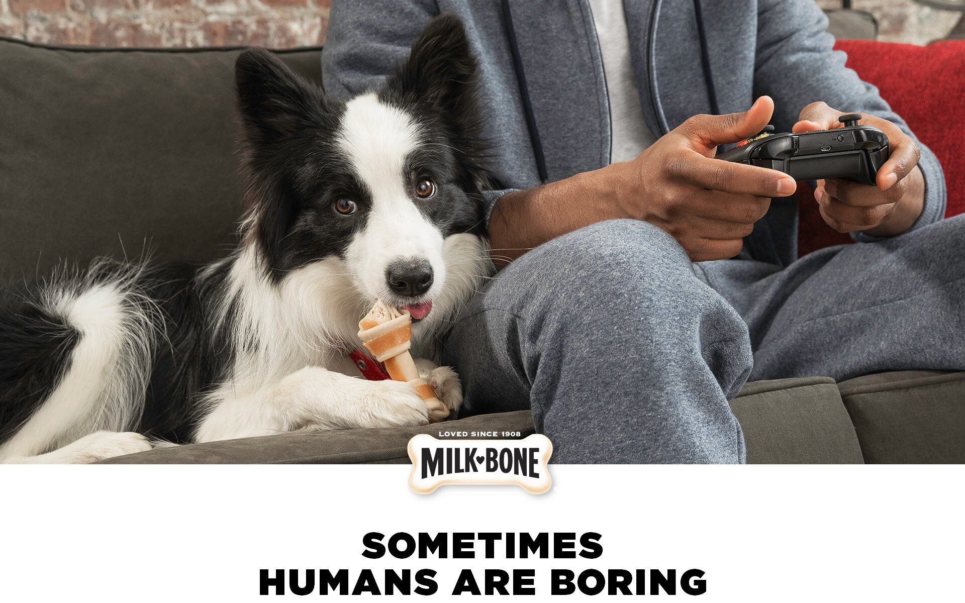 MILK-BONE