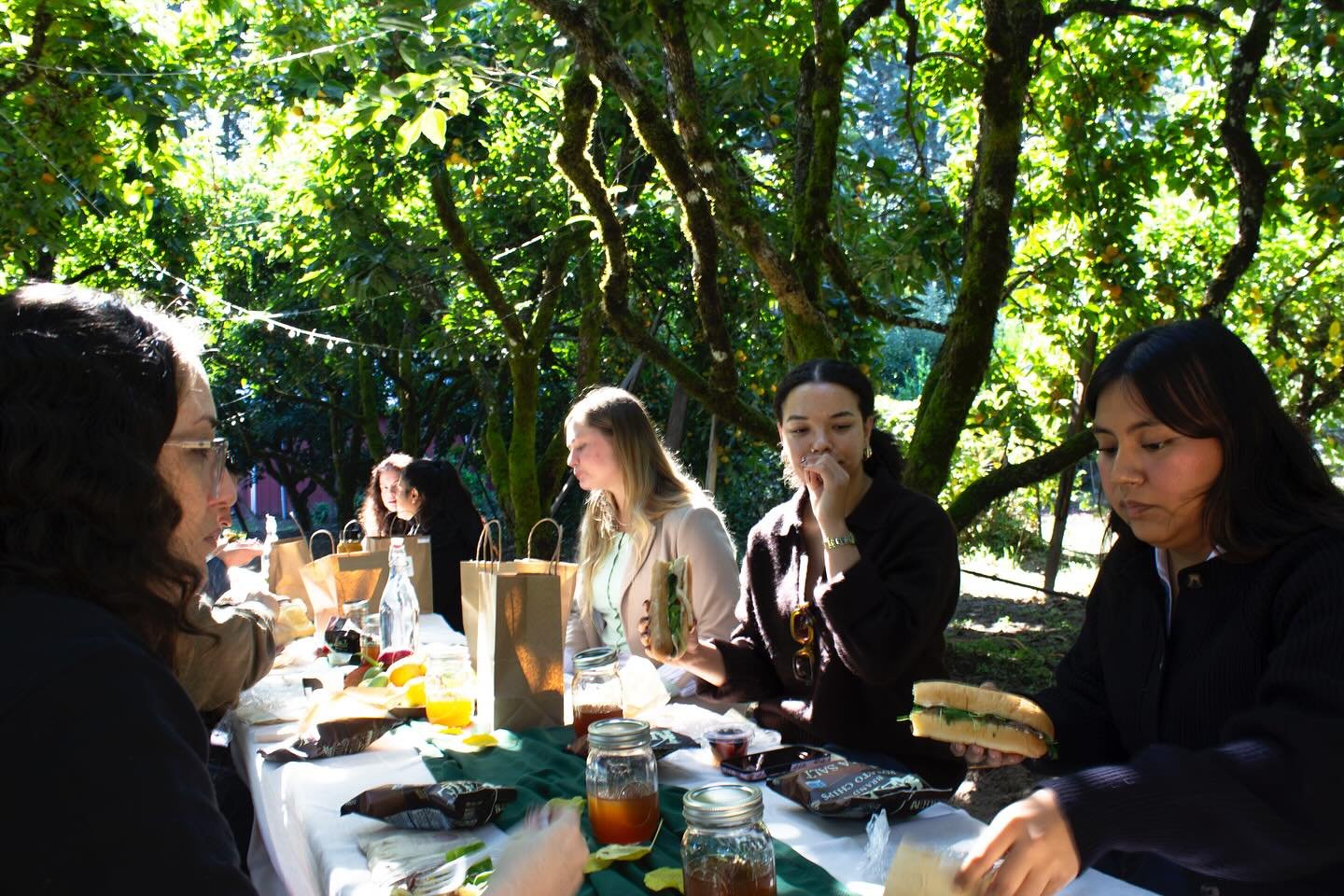 [ESP ABAJO] On Friday, Oct 17, 2025 our team got together at Earthseed Farm in Sebastopol on a crisp fall morning for our staff retreat. Outside, amidst the bounty of apple trees and under a canopy filled with blankets, comfy pillows, and seats, we d