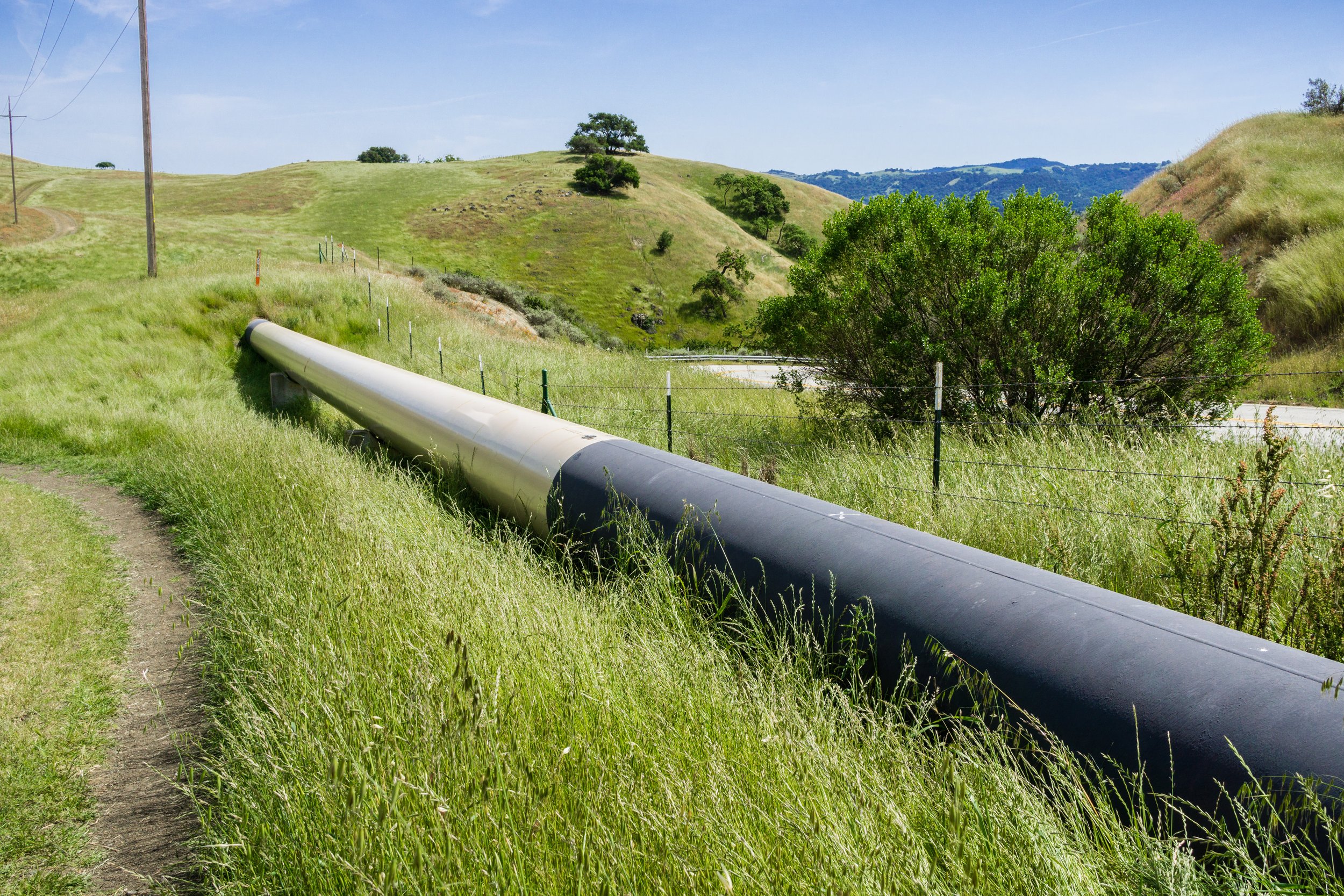 Advise client on comprehensive strategy to transition natural gas usage to renewable natural gas