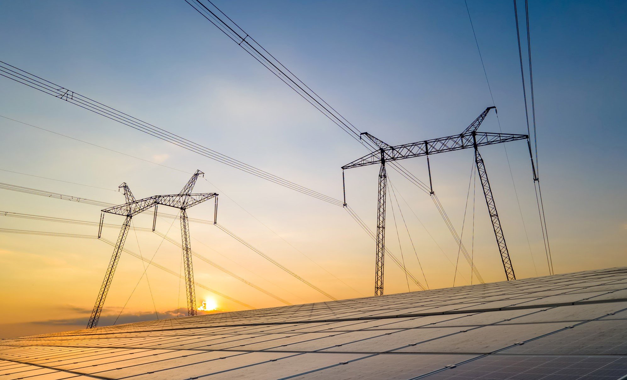 Advise client on competitive alternative supplies of electricity