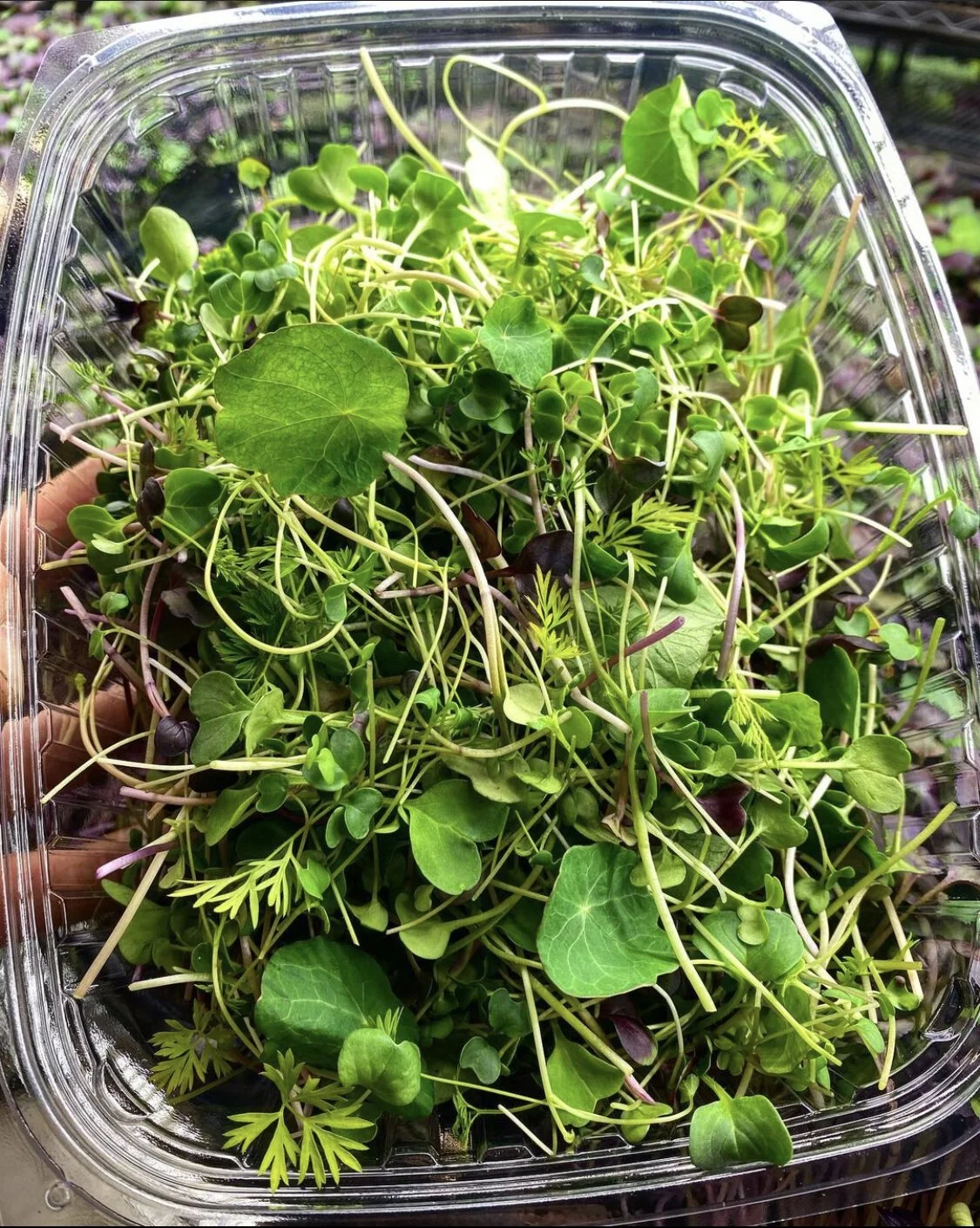 Farmers Blend Subscription