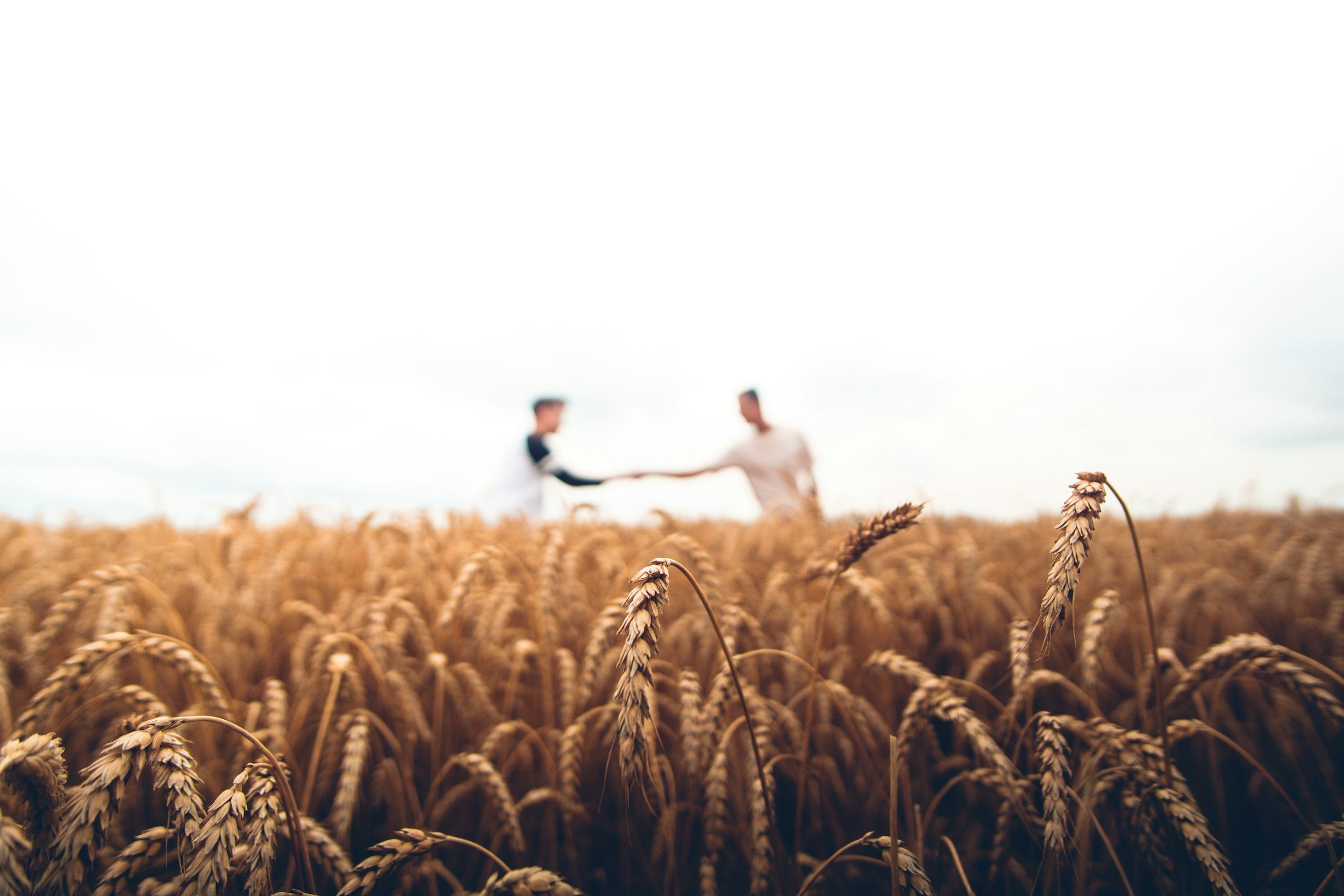 Skipping Mowing Can Help Our Farmers