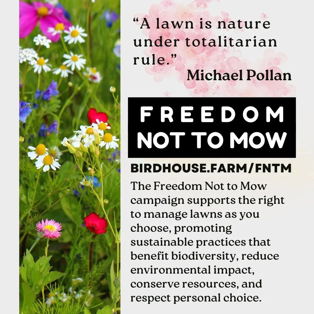 We're all about embracing the wild, letting nature take the lead, and giving our lawns a break. Join us as we discover the beauty of untamed landscapes, support local wildlife, and reclaim our time from the endless cycle of mowing. It's time to let y