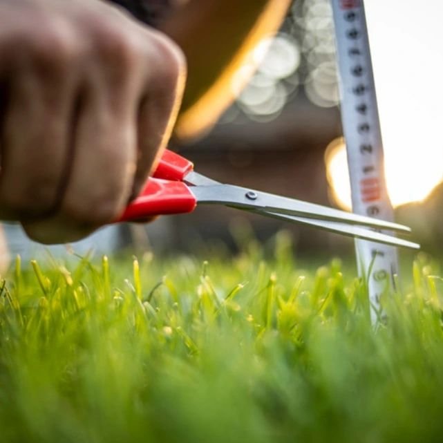 Letting your grass grow a little wild isn&rsquo;t just about a more relaxed look&mdash;it&rsquo;s a gift to our pollinators! Taller grasses provide crucial habitat for bees, butterflies, and other beneficial insects, offering them a safe place to nes