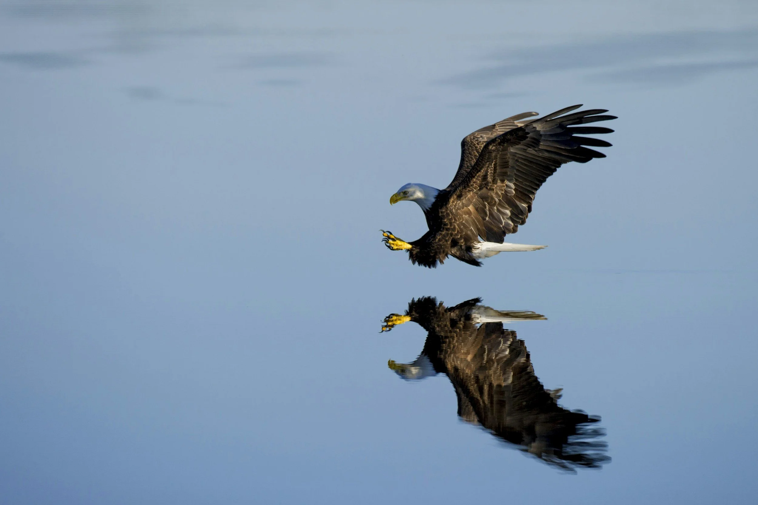 unsplash-image-OjE4RtaibFc.jpg