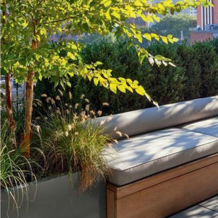 Dog boarding, dog training, doggie daycare. Employee sanctuary. Close-up of a built-in wood bench with a cushioned seat pad, backed by ornamental grasses and a young tree, alongside a brick building.