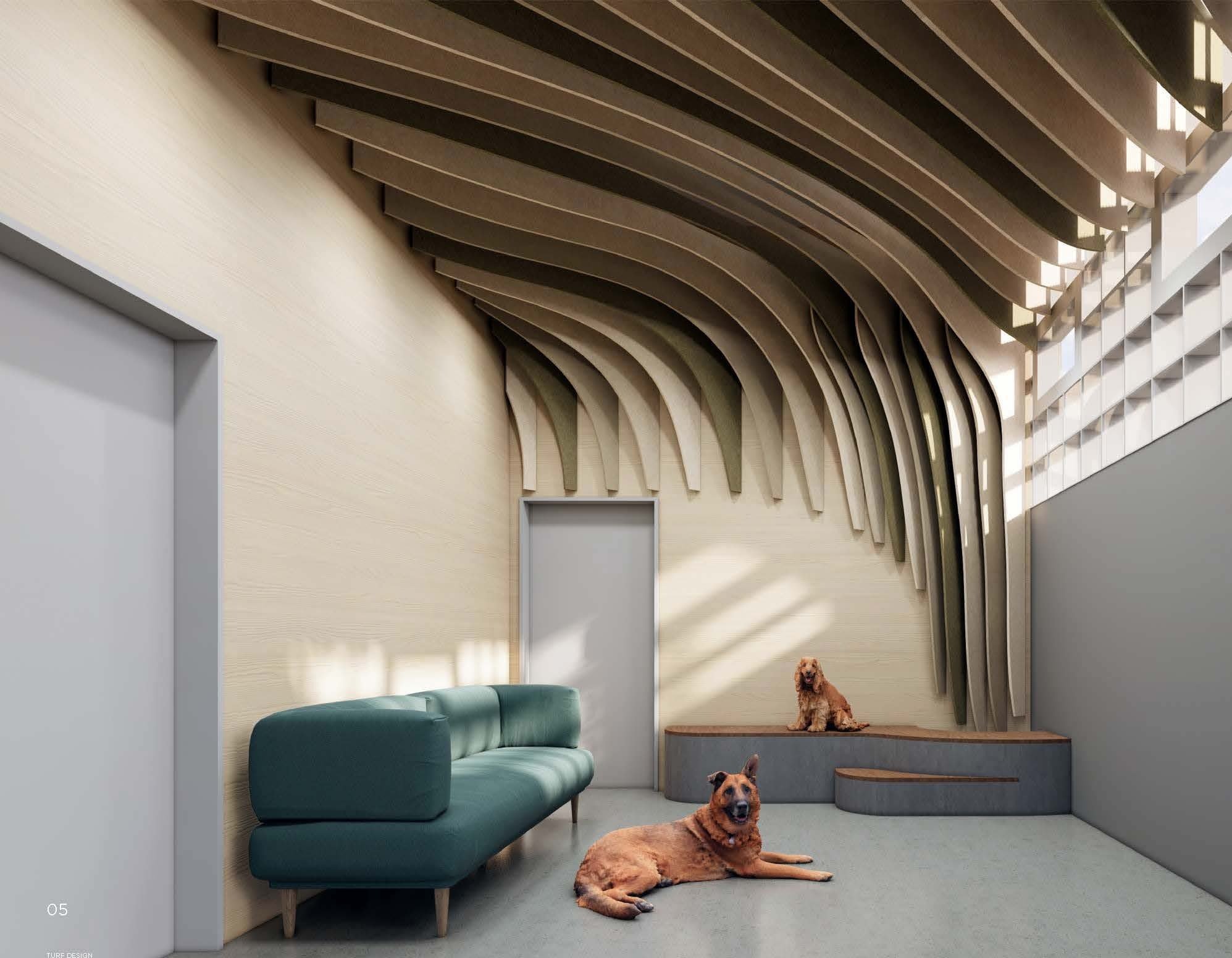 High-intensity dog boarding environment in Chicago featuring acoustic sound-masking and industrial-grade durability.