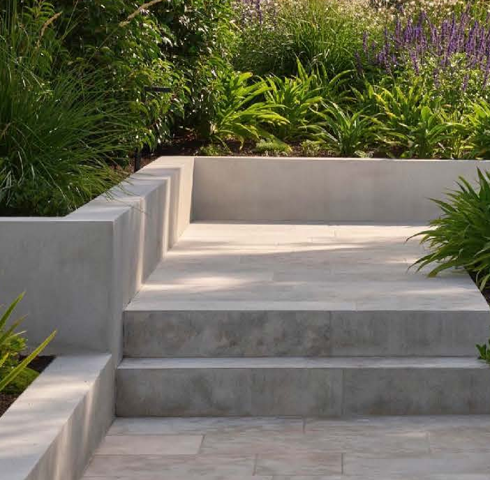 Dog boarding, doggie daycare. Poured concrete steps and low retaining walls leading up to a raised planting bed with purple salvia and green foliage.