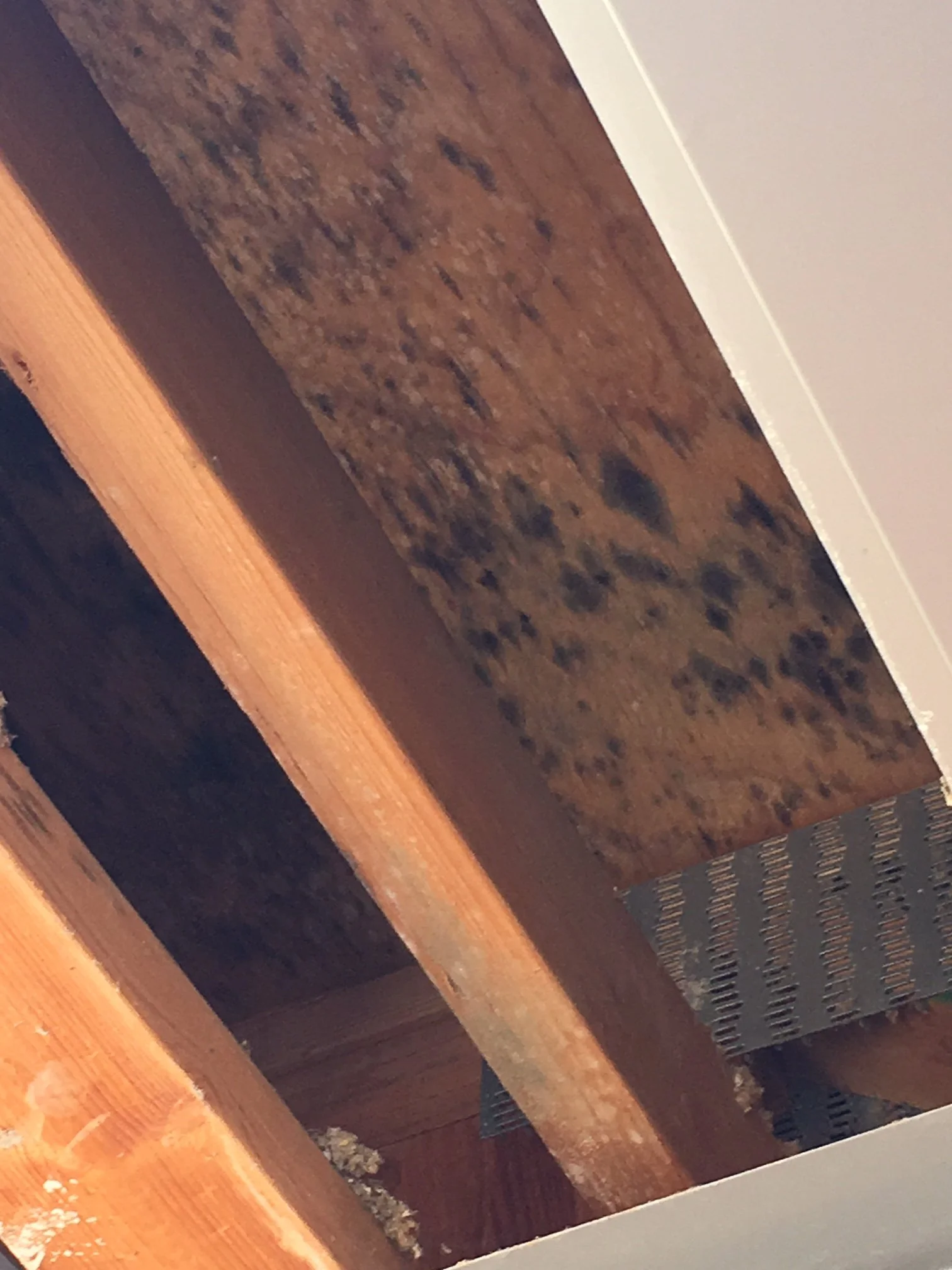 Photo of a wooden staircase with brown steps and white risers, partially covered by a metal grate with a dotted pattern.