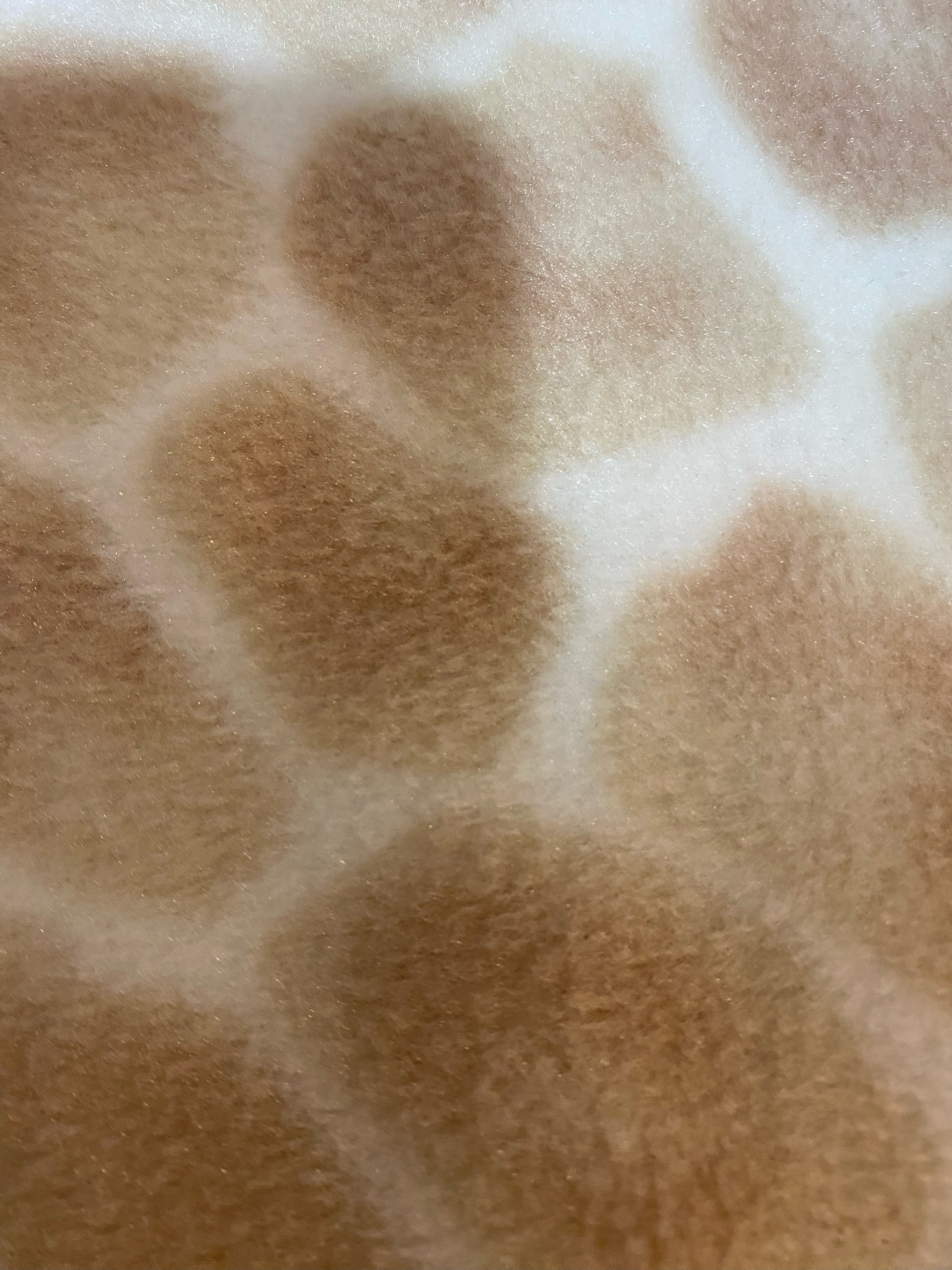 image1.jpeg
