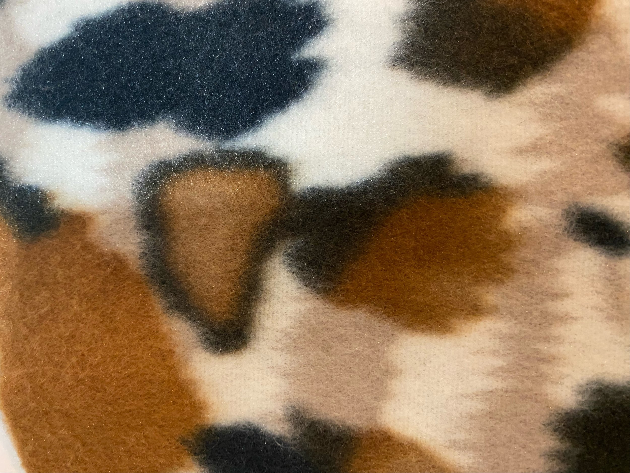 image4.jpeg