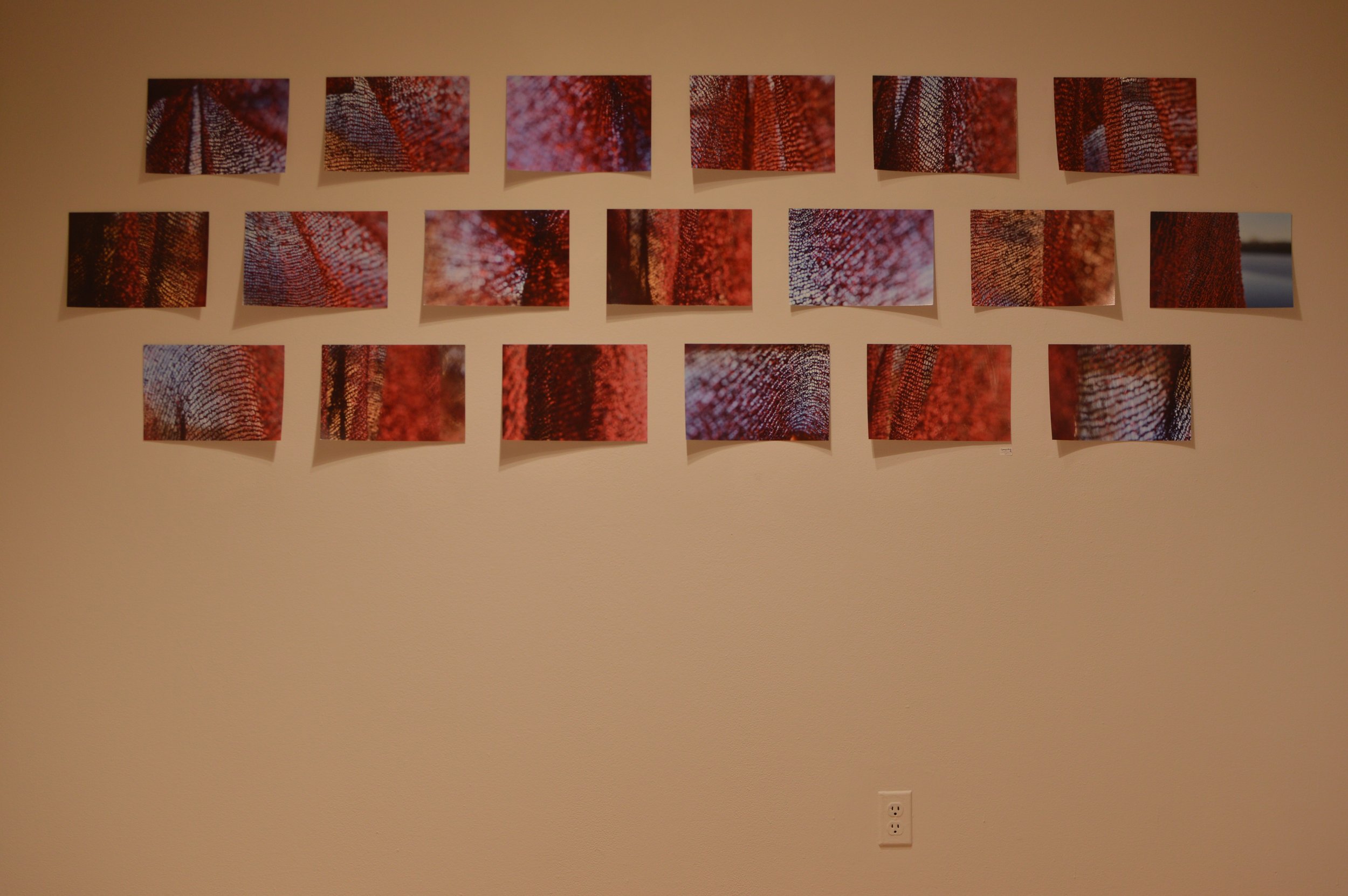 72309D1C-0586-4FD6-A4BA-D2B942EB1C91.jpeg