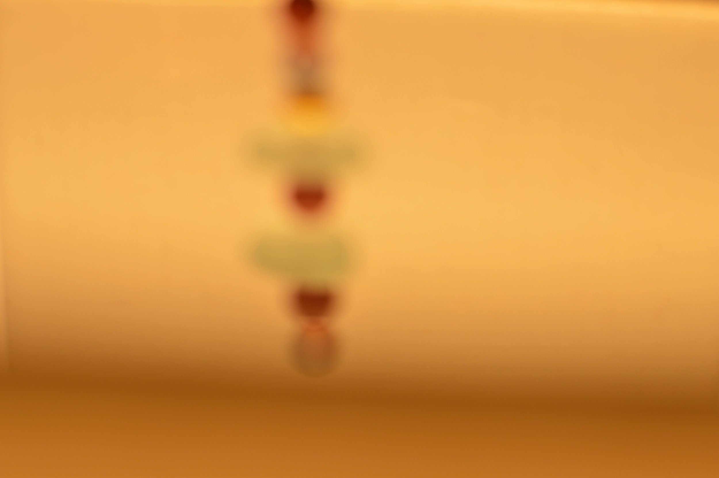 DSC_1469.jpg