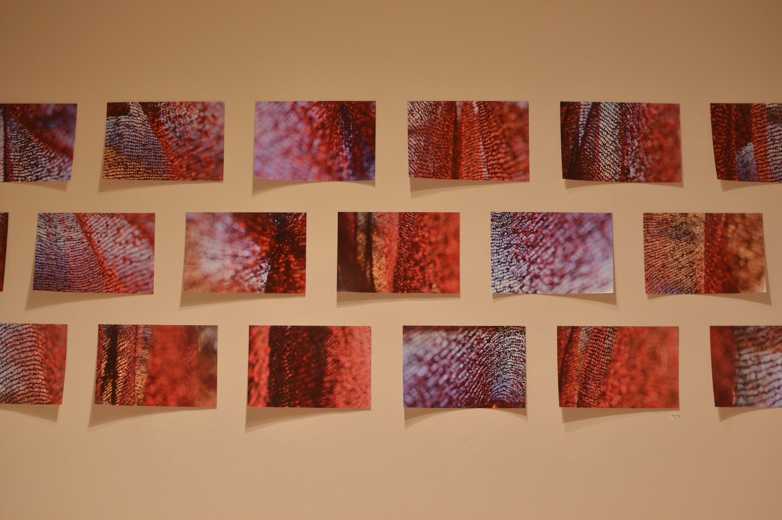 9833ED0E-A547-4552-A234-E4F485A28030.jpeg