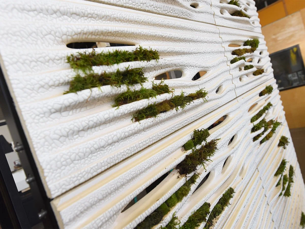 Green wall prototype with VS1 and terra cotta
