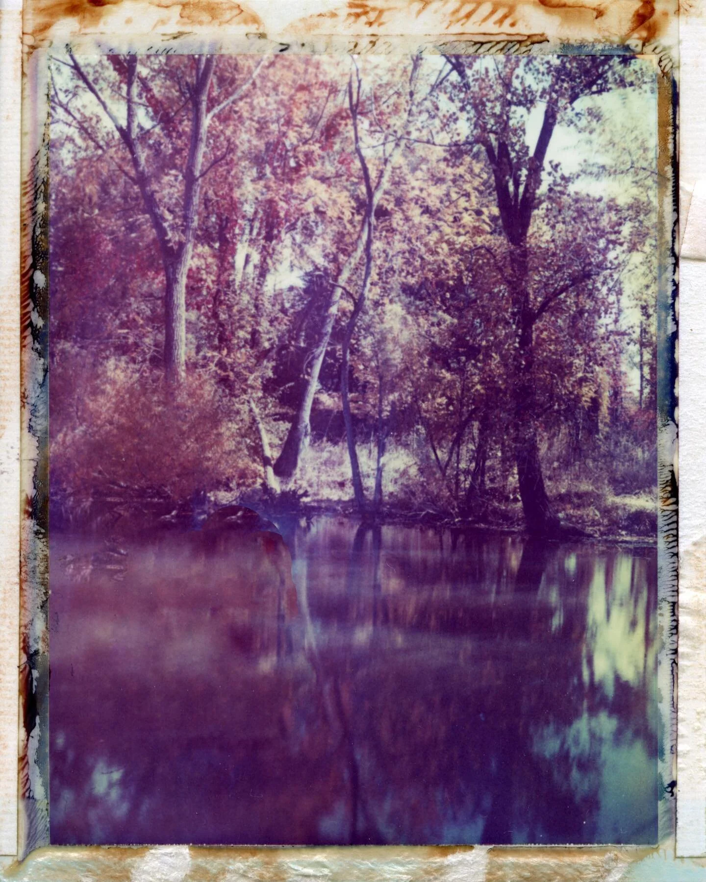 #polaroid #195 #108 #film #photography #packfilm