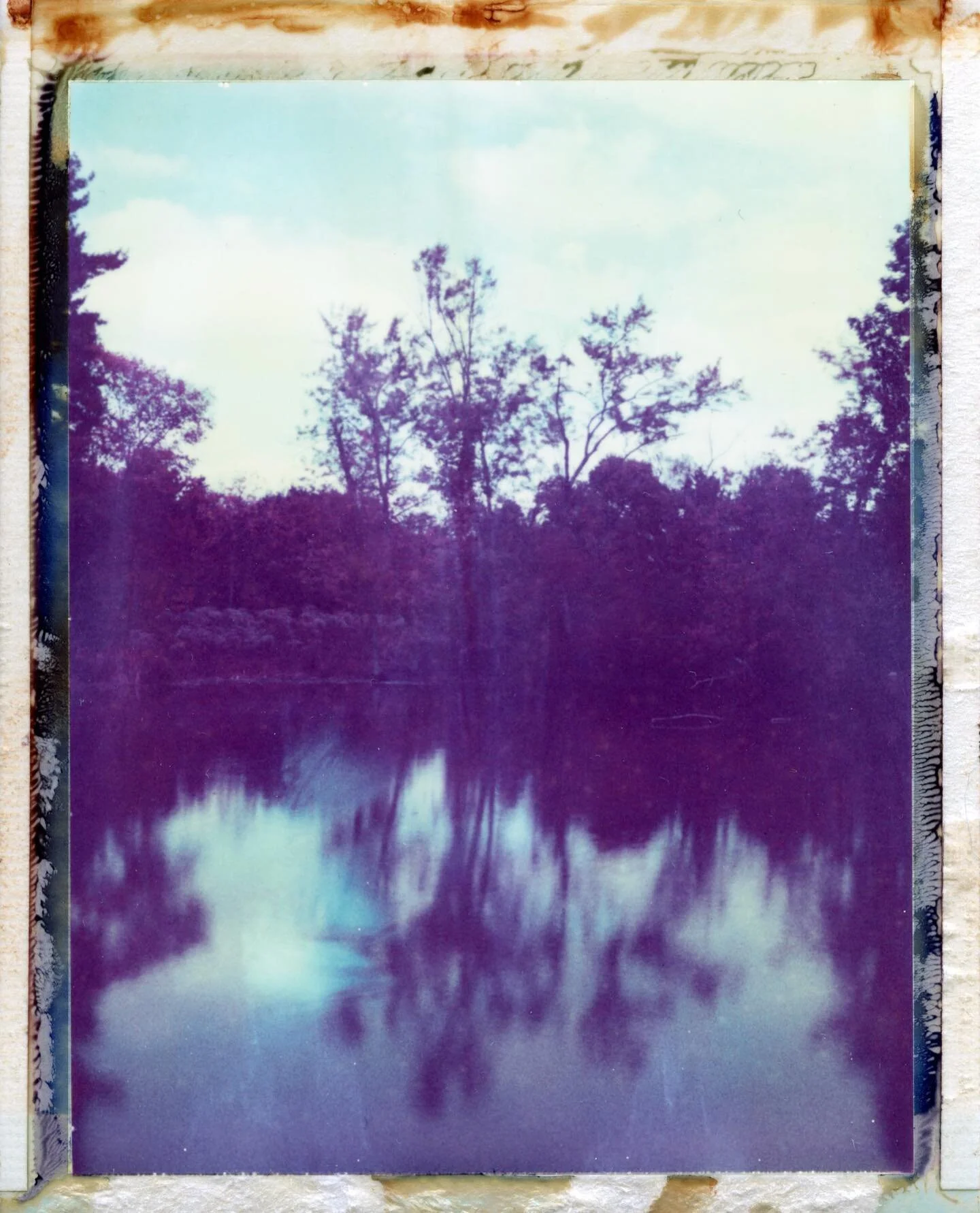 #polaroid #195 #108 #film #photography #packfilm