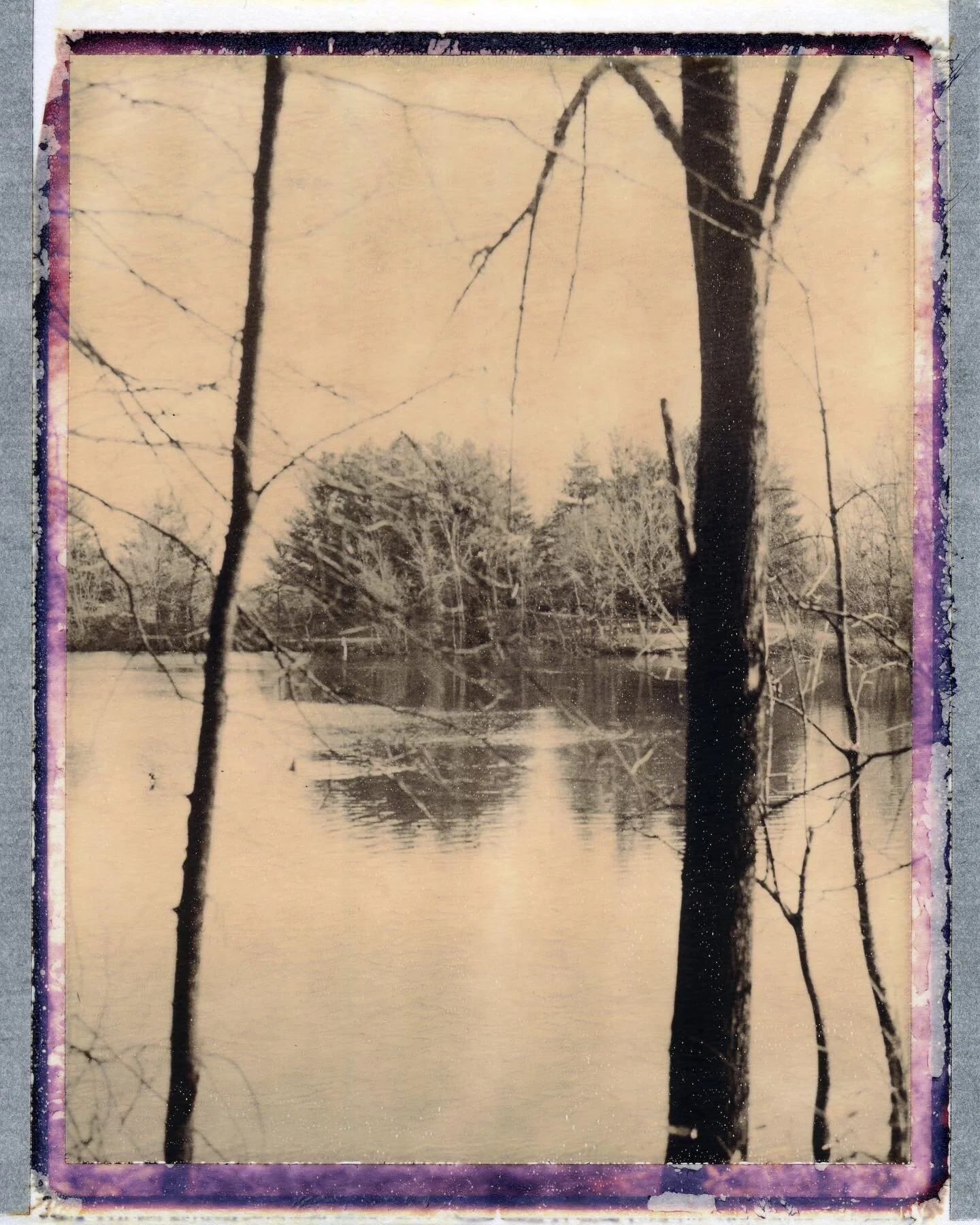 #polaroid #195 #chocolate #film #photography #packfilm