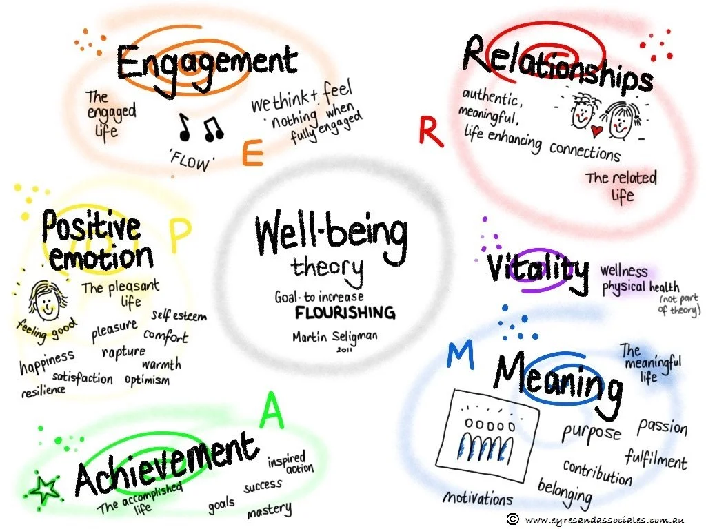 Wellbeing and Flourishing