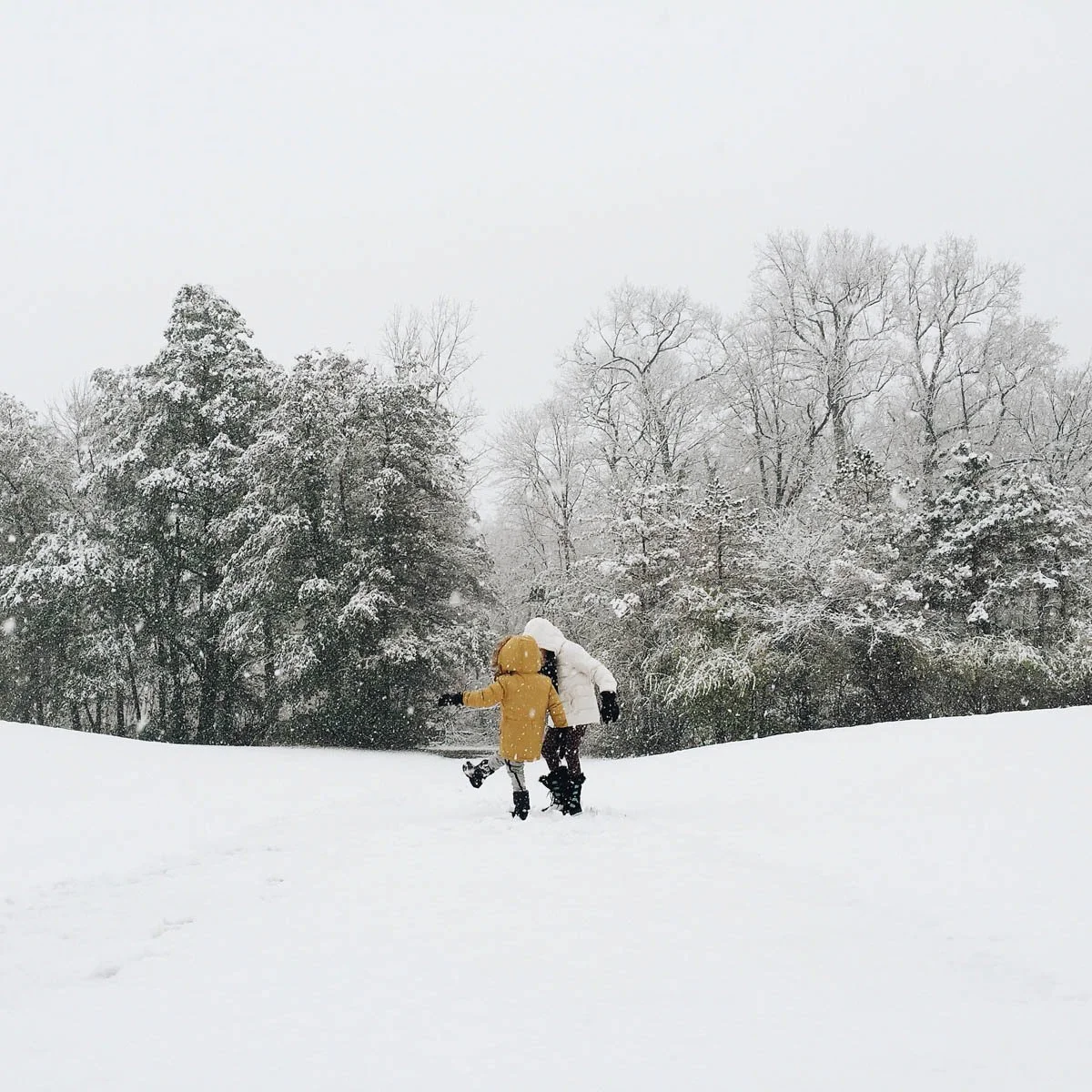 Do you suffer from Seasonal Affective Disorder? What can you do?