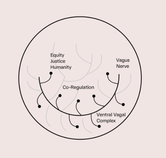 Overwhelm, Anxiety, &amp; Frustration: Nervous System Dysregulation