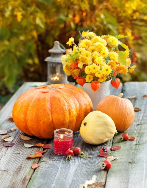 Exploring Liminality in Autumn, Spaces, and Life Transitions