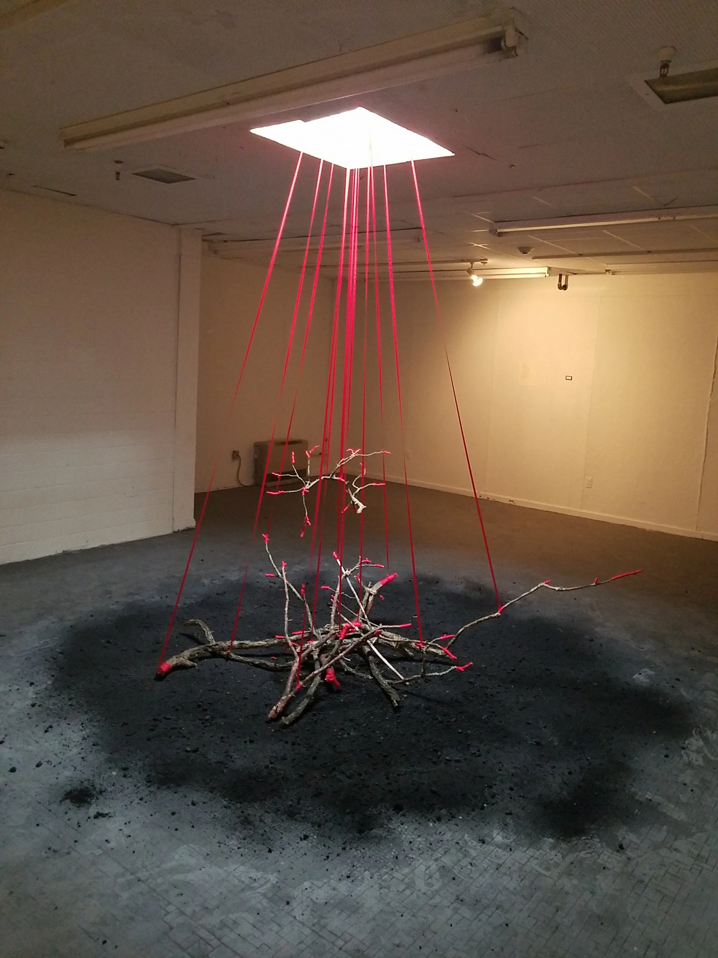 Faggot, 2017
twine, ribbon, sticks, ash