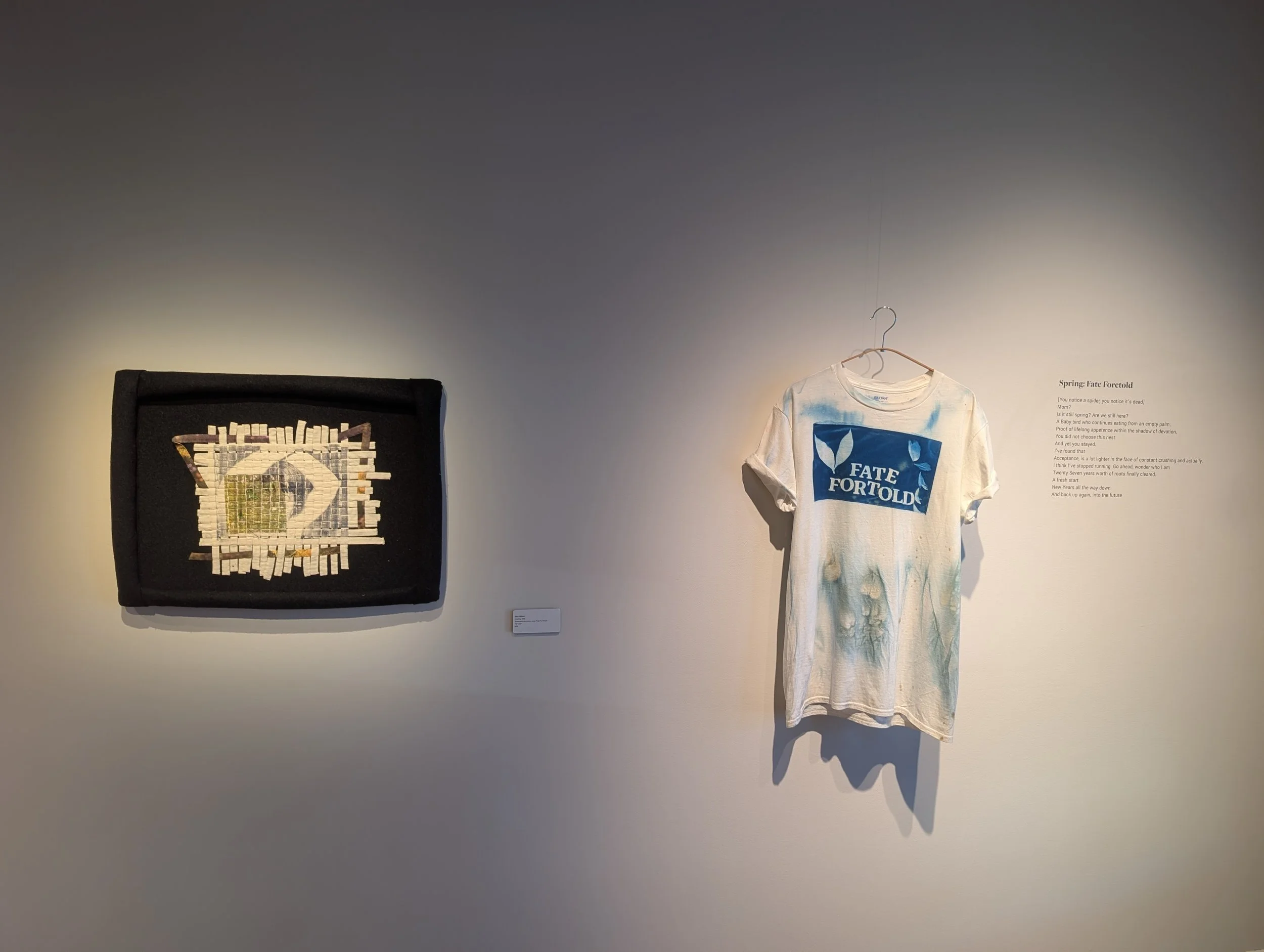 "Four Seasons" by Fatima Janneh (cyanotype on tshirt and poetry on right)
"Looking" by Eliza Clifford