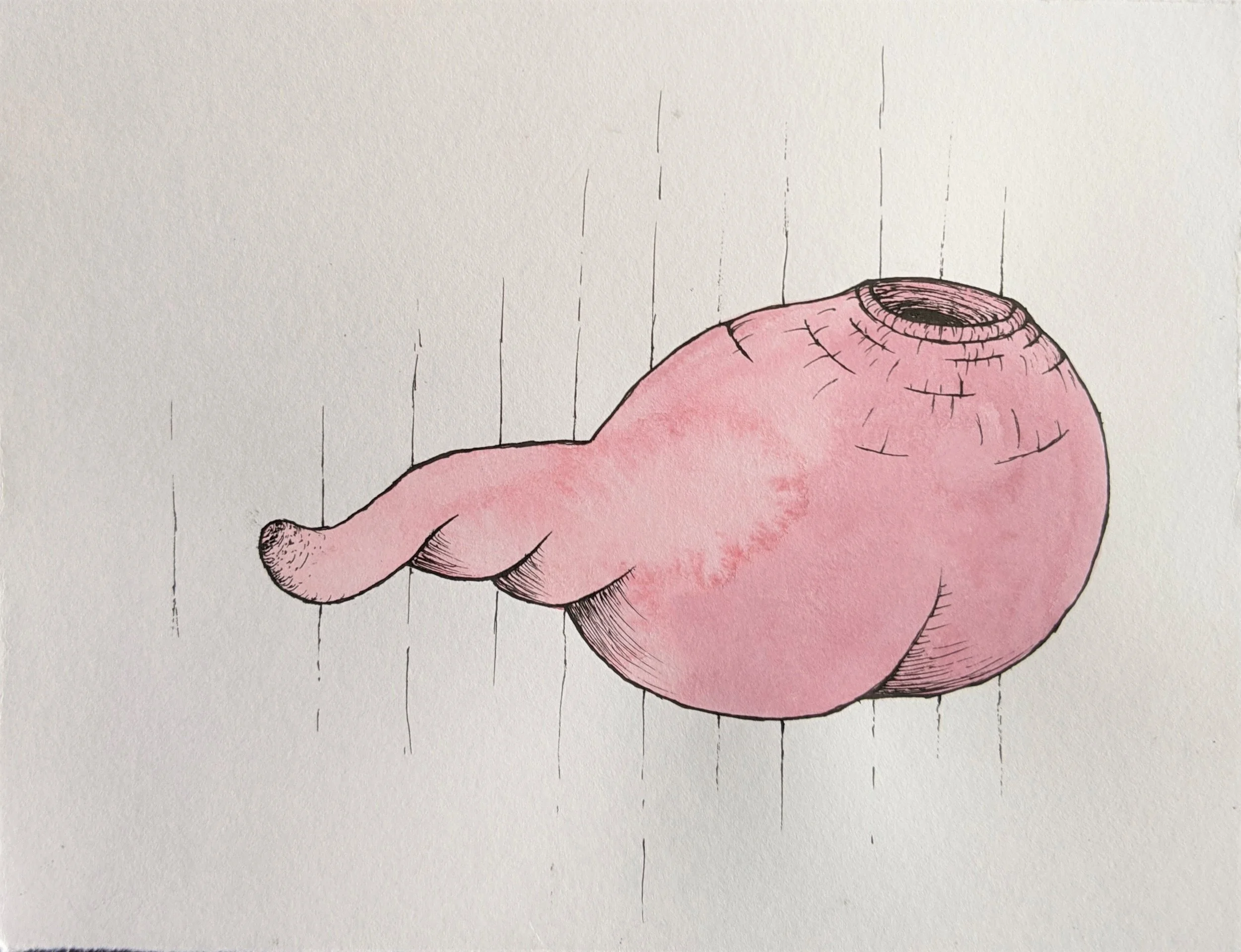 Gut 5, 2020
watercolor and ink on paper