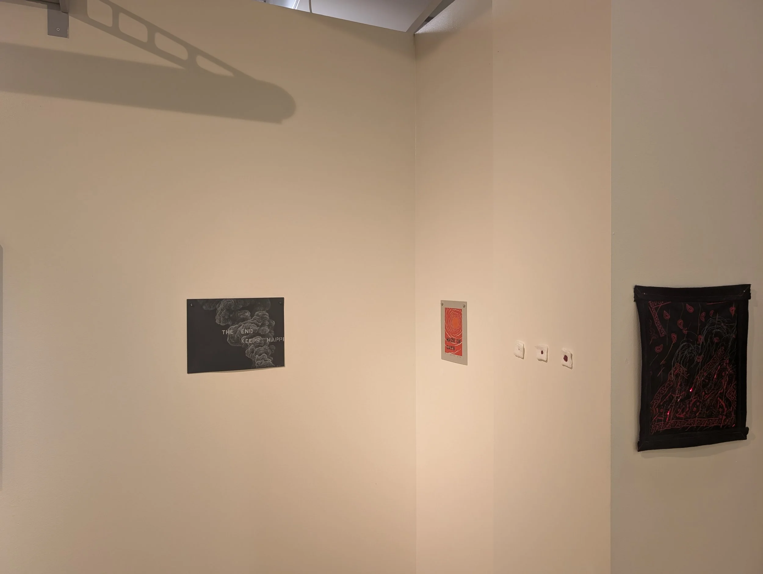 PXL_20241111_224331515.jpg