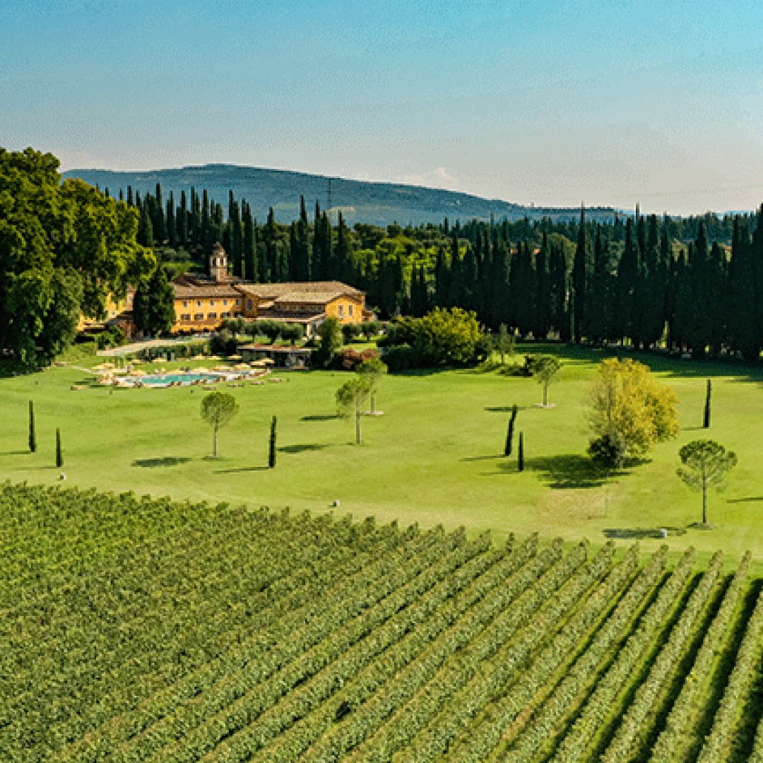 Amarone Wine Dinner