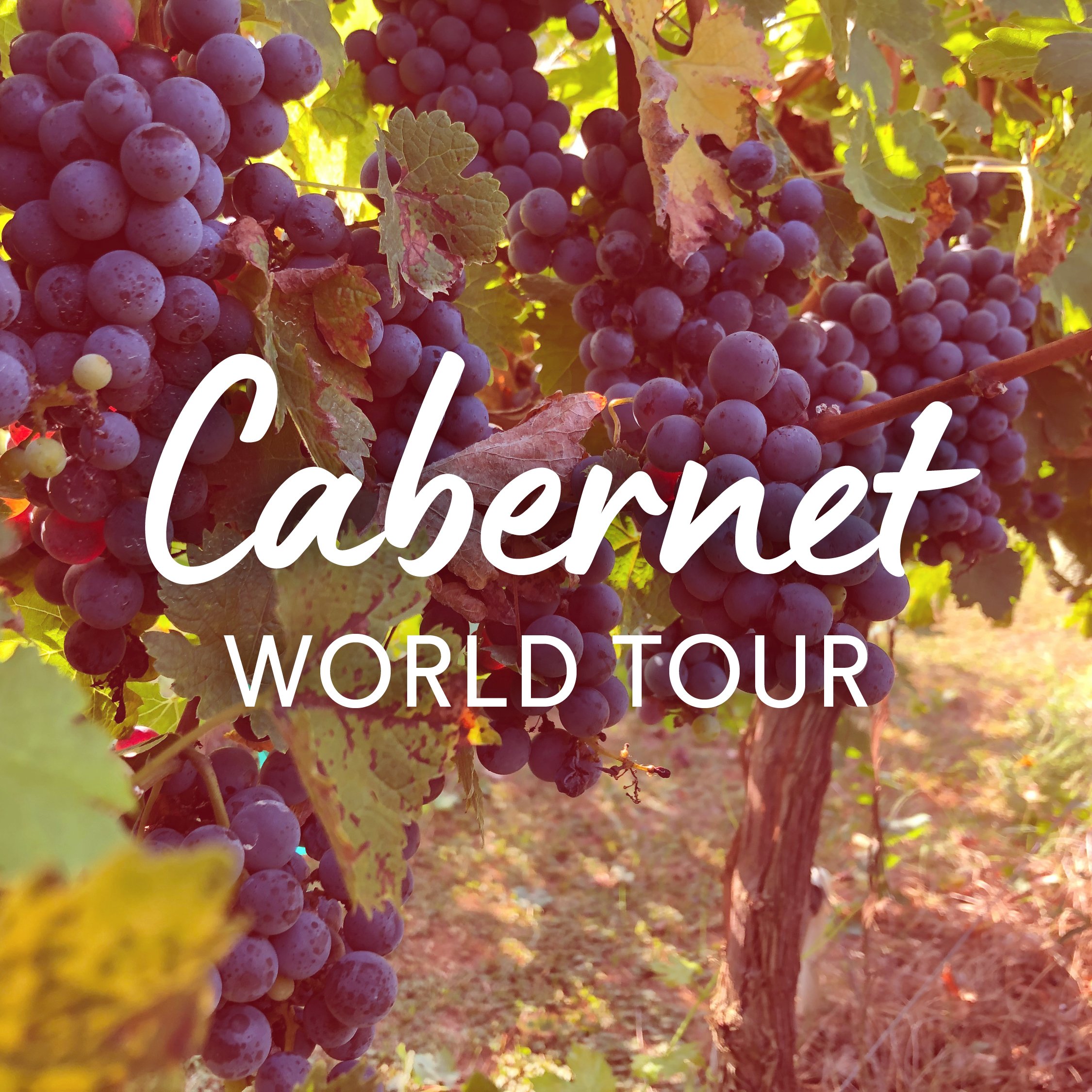 Cabernet World Tour