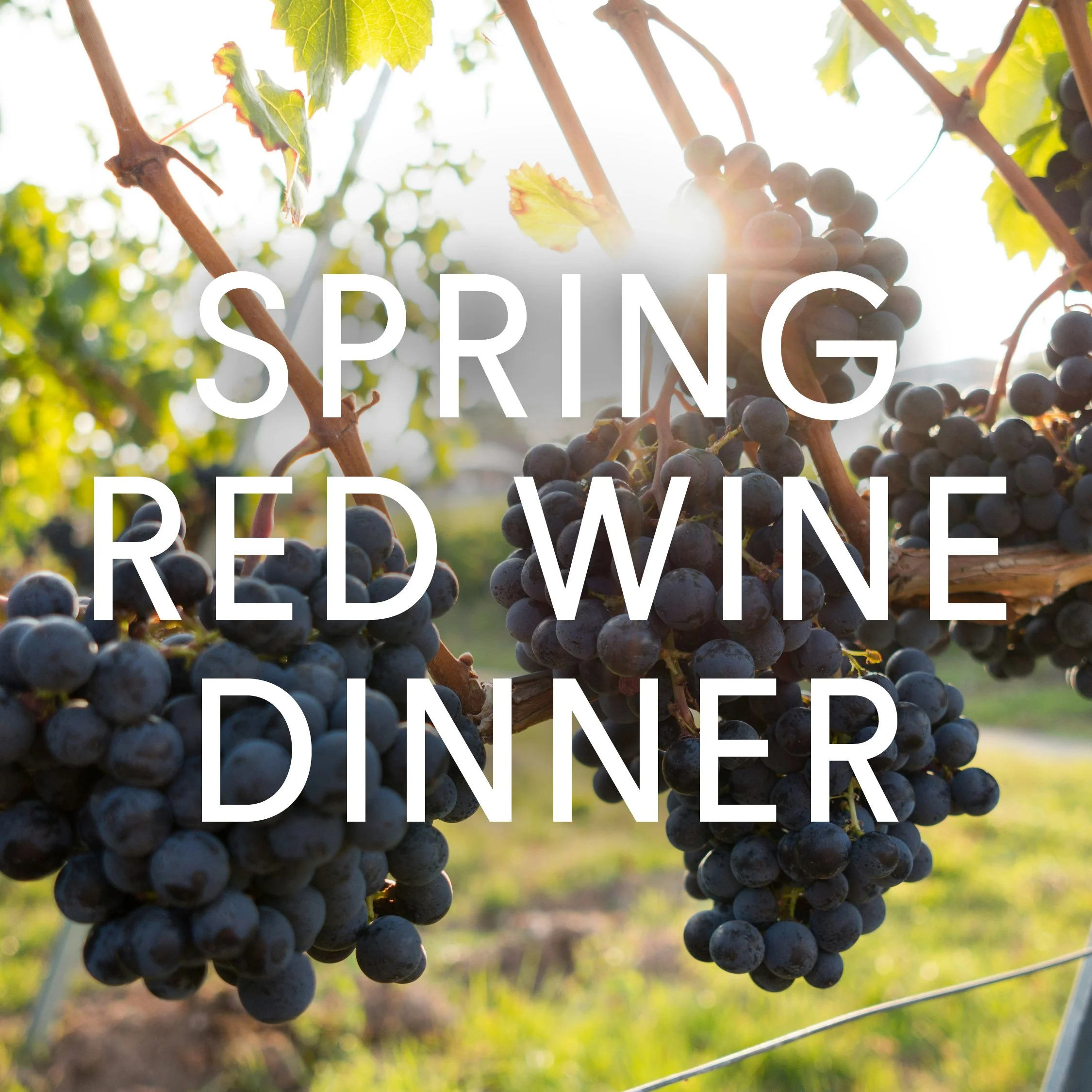 Spring Red Wine Dinner