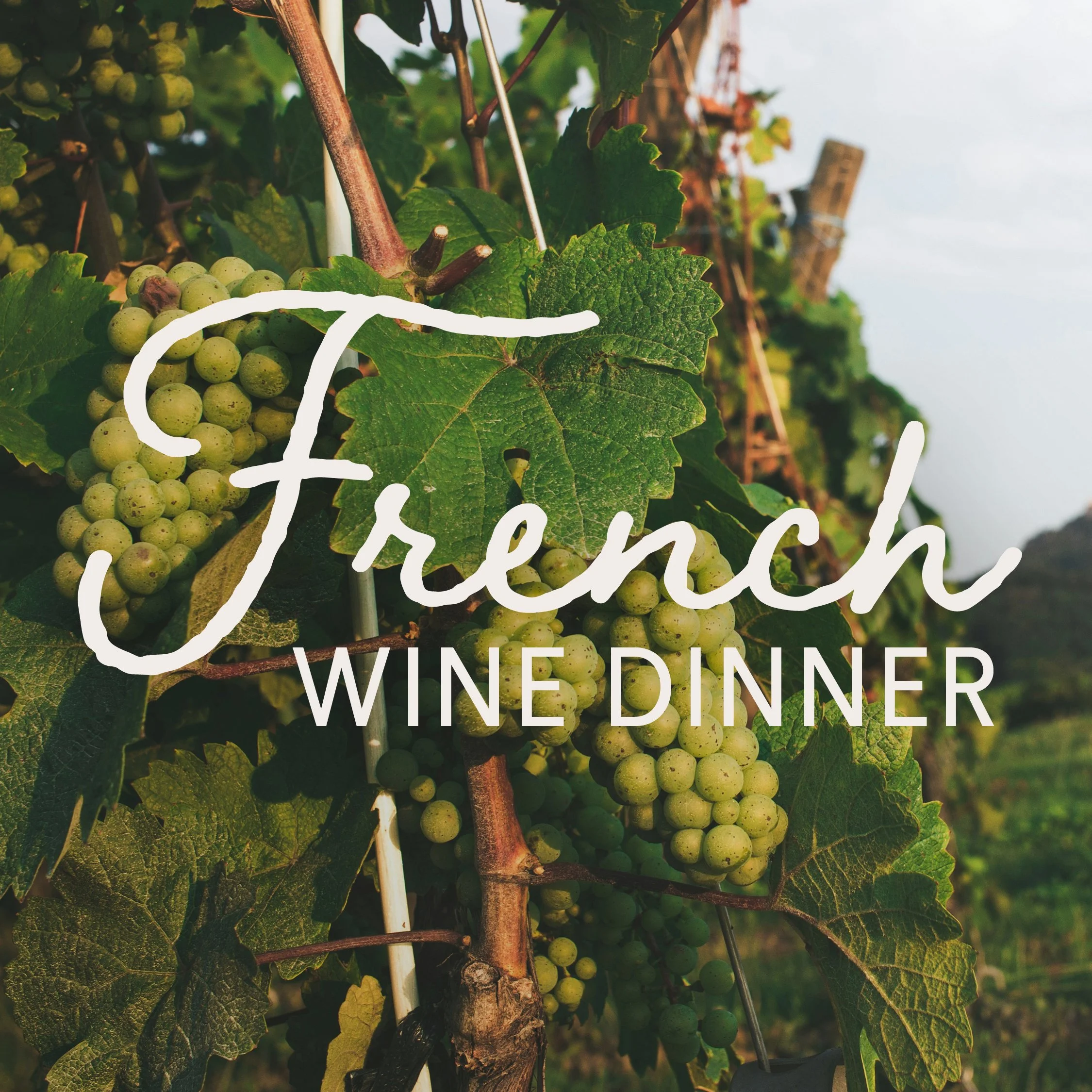 French Wine Dinner with Wilson Daniels