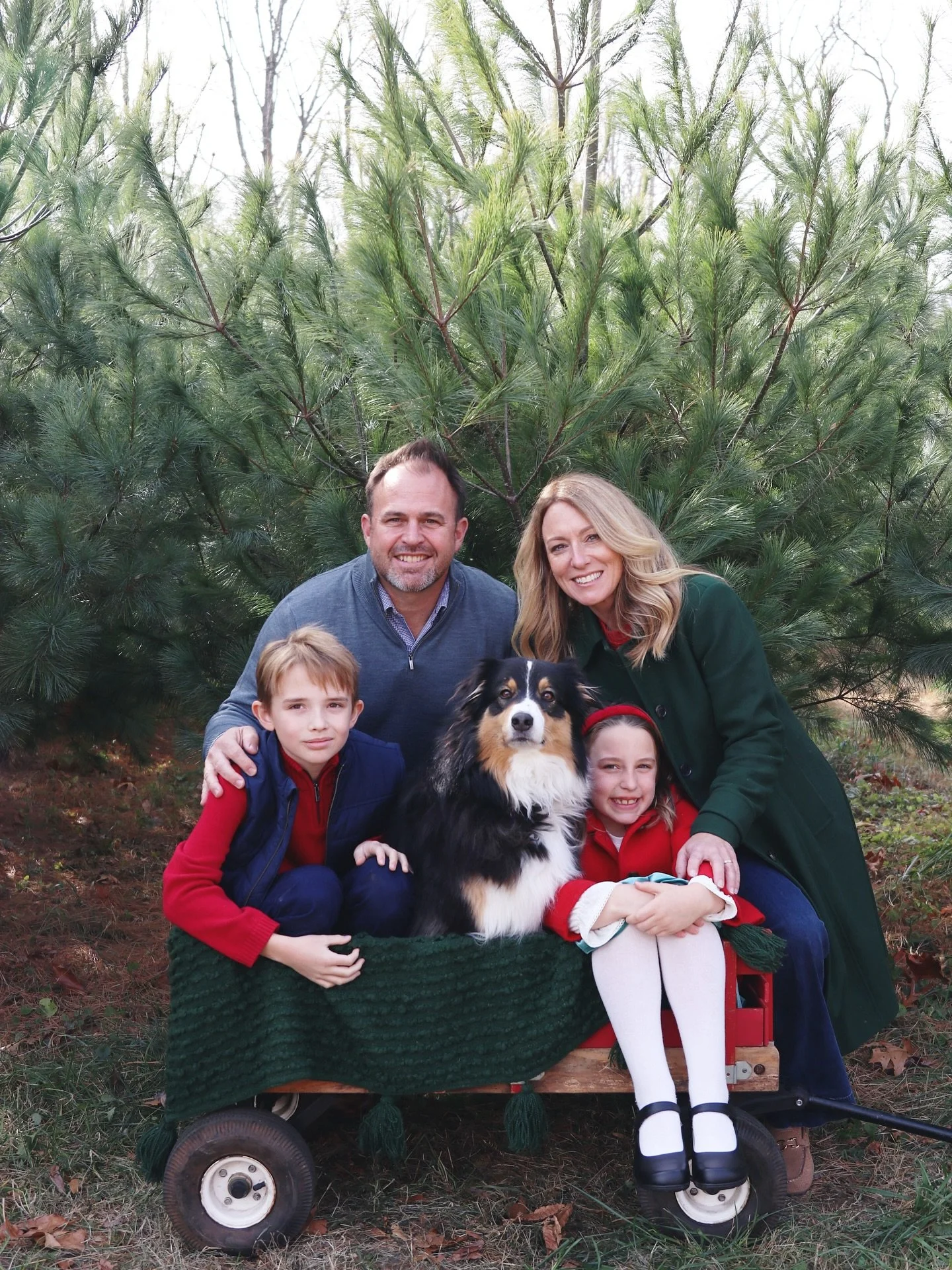 🐾🎄 Pups are family too! Dogs are welcome at our Tree Farm Minis &mdash; let&rsquo;s make it festive for the whole crew. ❤️

Booking link in Bio!