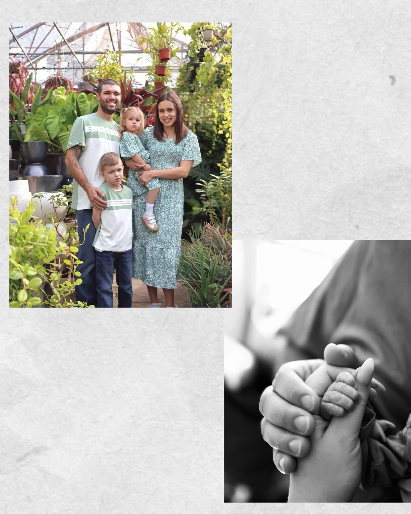 The past few months have probably been the busiest of my photography career. From newborns, a few weddings, family sessions, and of course the tree farm minis (post coming soon 🎄)! I&rsquo;m so grateful for every single client I met this year and al