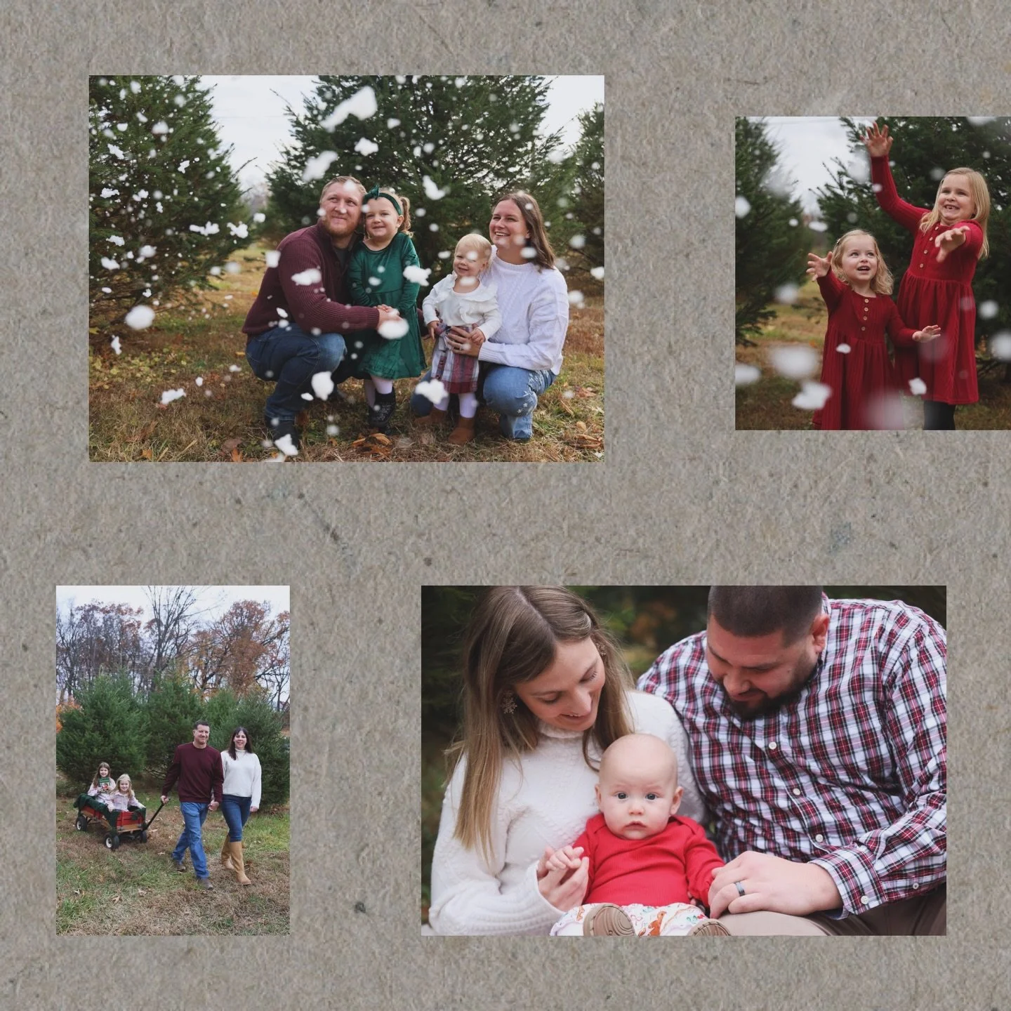 Christmas Minis 2025! 🎄 Thank you to the new and familiar faces! Already brainstorming for next year!
#christmasminis #treefarmminis #miniphotos