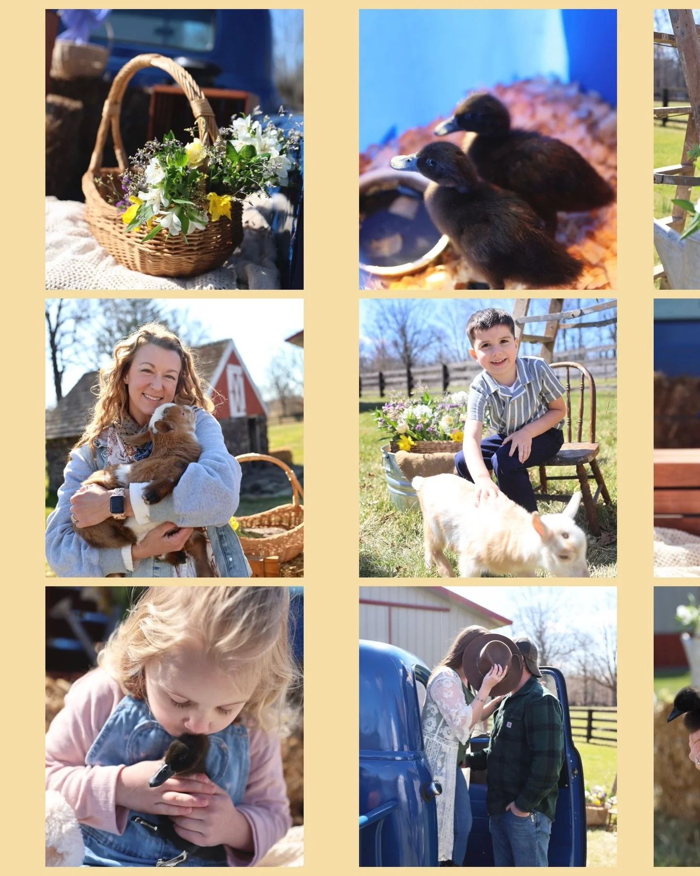 💐 Spring Mini Photos! 💐 
Bright sun, chilly winds, but warmed up with baby goat snuggles! Thank you to everyone who was a part of it!

Special shout out to the amazing @debralynnphoto 📸 🐥 🦆, @clumsygoosefarm 💐 &amp; @maplecrest_farm_livestock ?