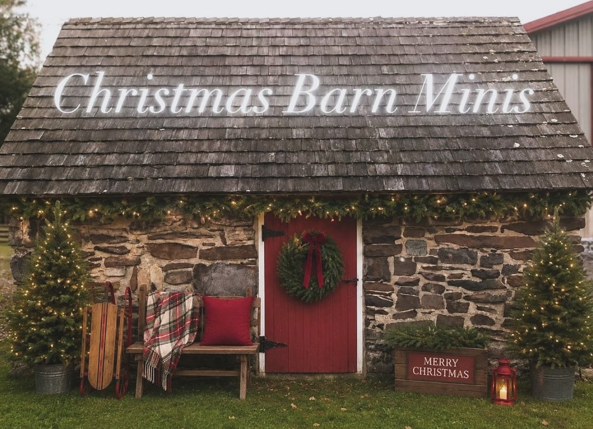 🎄Christmas Barn Minis! 🎄 

Tis the season for thinking ahead! November will be here before we know it! Info and booking link in bio! 

#christmasminisessions #christmasminis #miniphotos #njphotographer #christmasphotos