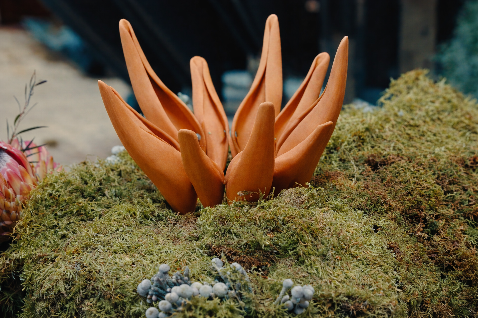 Vessel Detail_Fifoluwa Adebakin.png