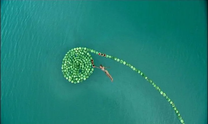  Sigalit Landau,  Dead See , 2005, DVD, 11:39 minutes. Collection of Phoenix Art Museum, Gift of Caroline Shapiro and Peter Frey. 