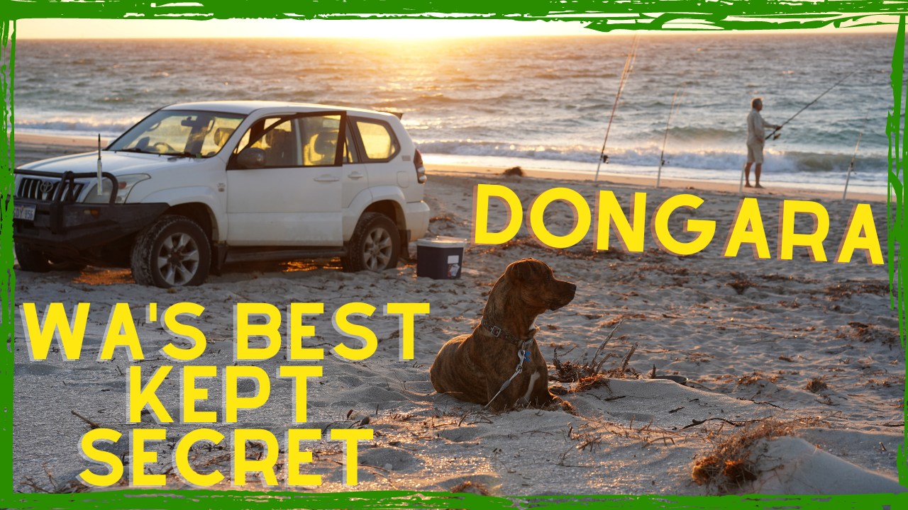 Dongara, Jan 2021