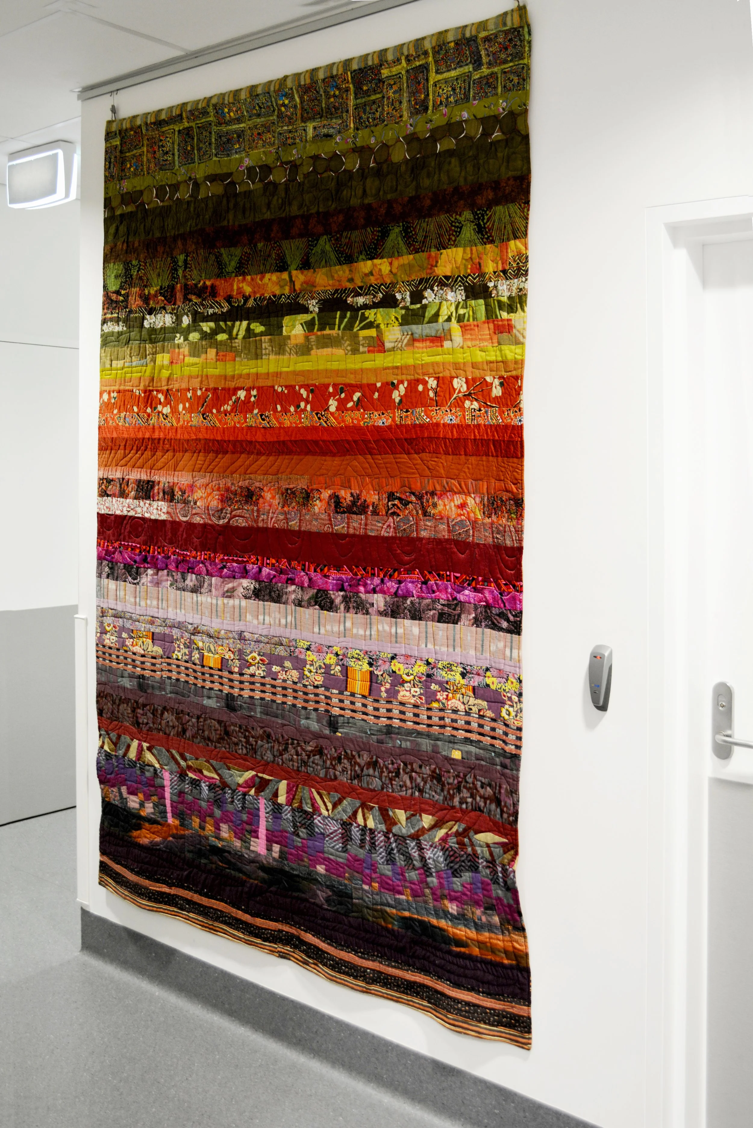 Terra Australis in situ