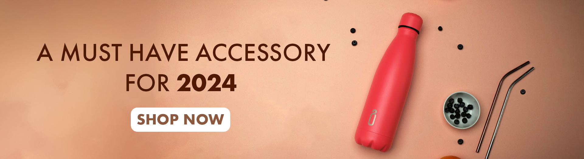 accessory- Web banner.png